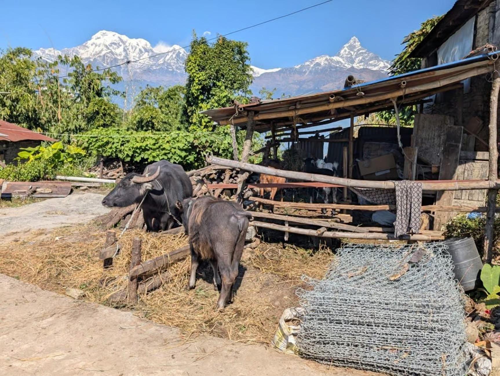 Pokhara: Annapurna Foothills Day Hike with Transfers 2
