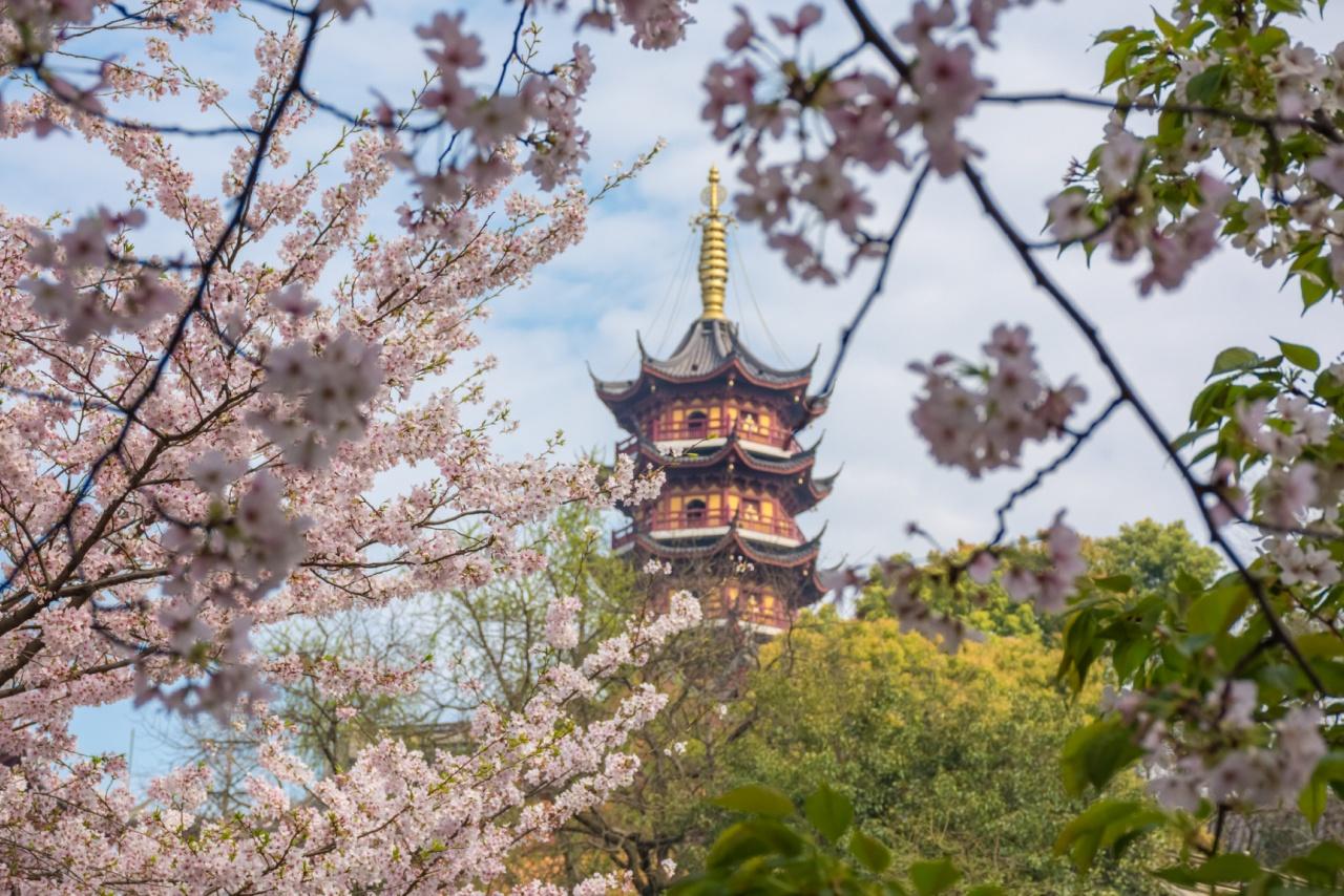 From Shanghai: Nanjing Private Day Trip with Train Tickets 2