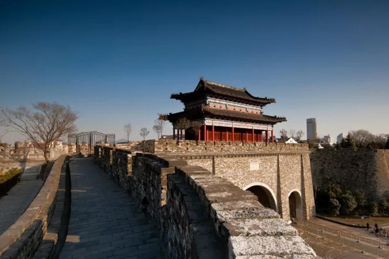 Nanjing Pandas & Ancient City Wall: Private Day Trip 2