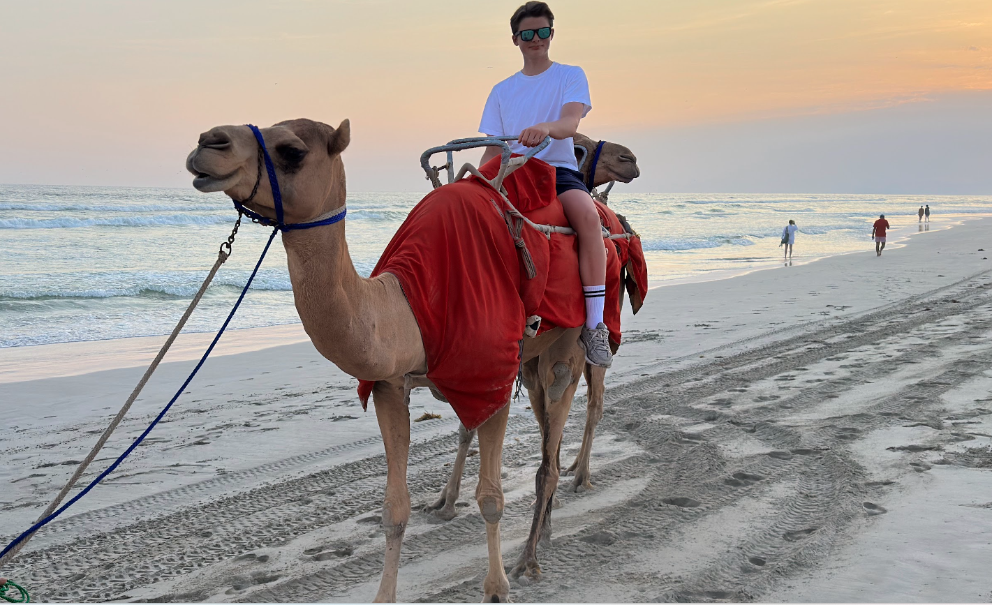 Authentic Arabian Camel Trek: Salalah Coastal Heritage