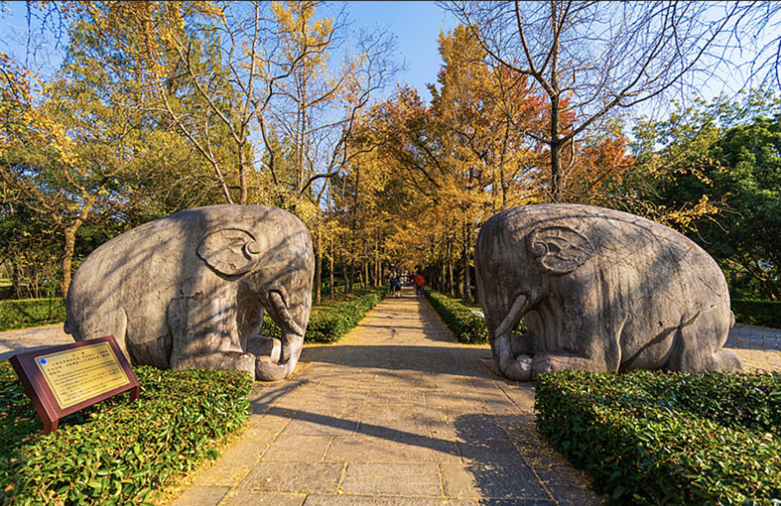 Hangzhou to Nanjing highlights day tour with bullet trains 3