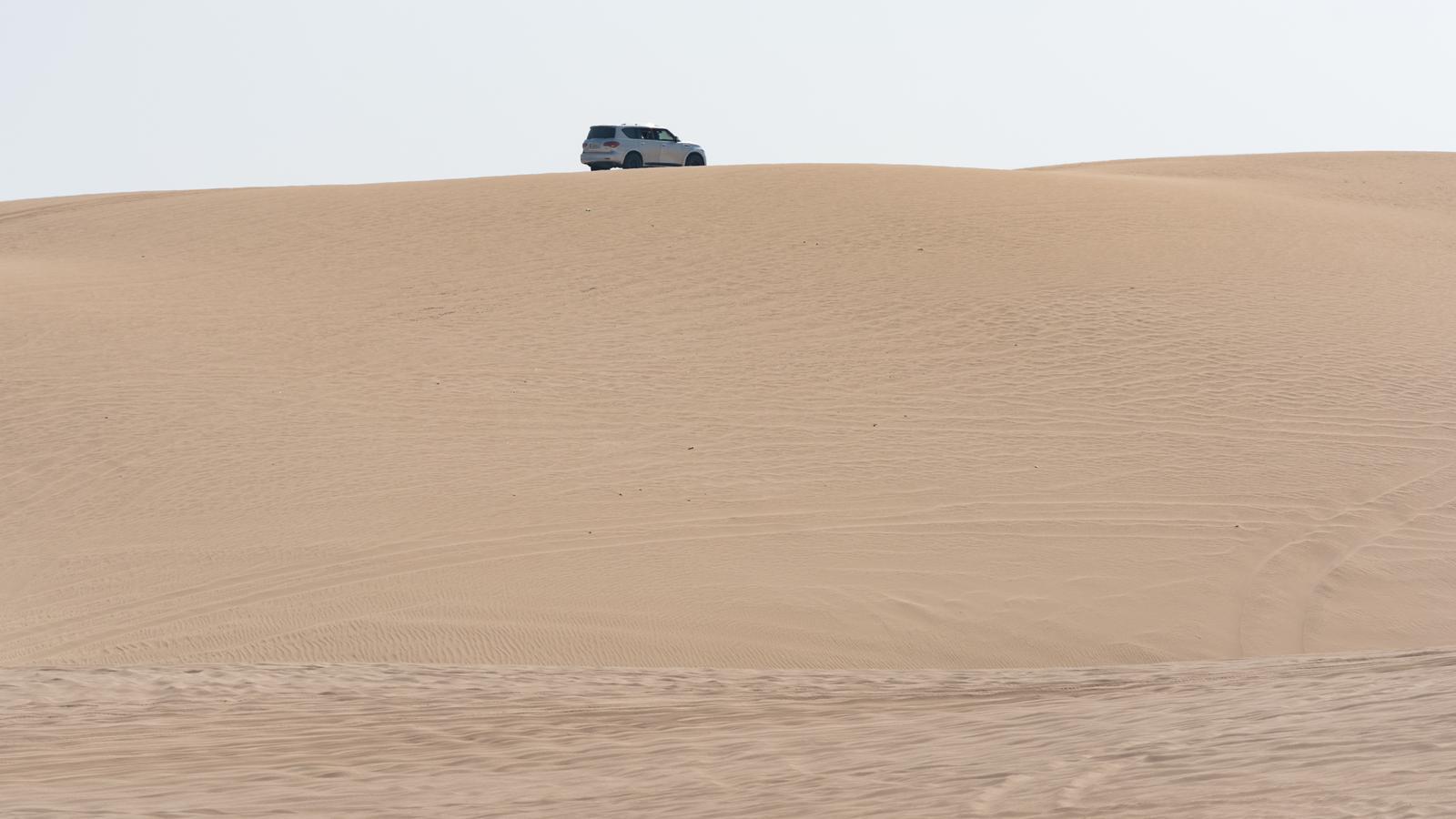 Doha:Private Desert Safari, Falcon, Sandboarding,inland sea 3