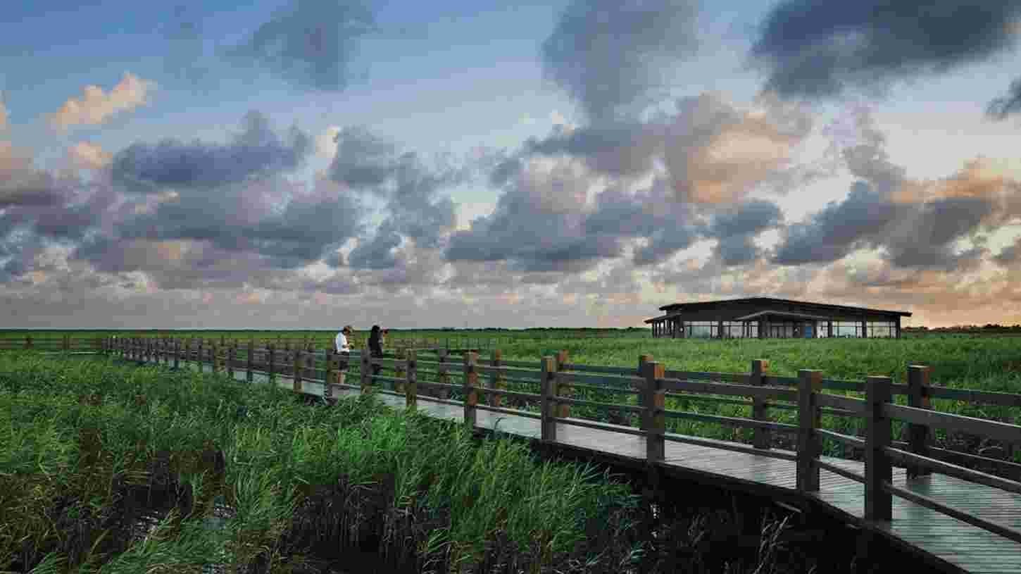 Shanghai: Chongming Island Hidden Wetland & Canoe Tour 3