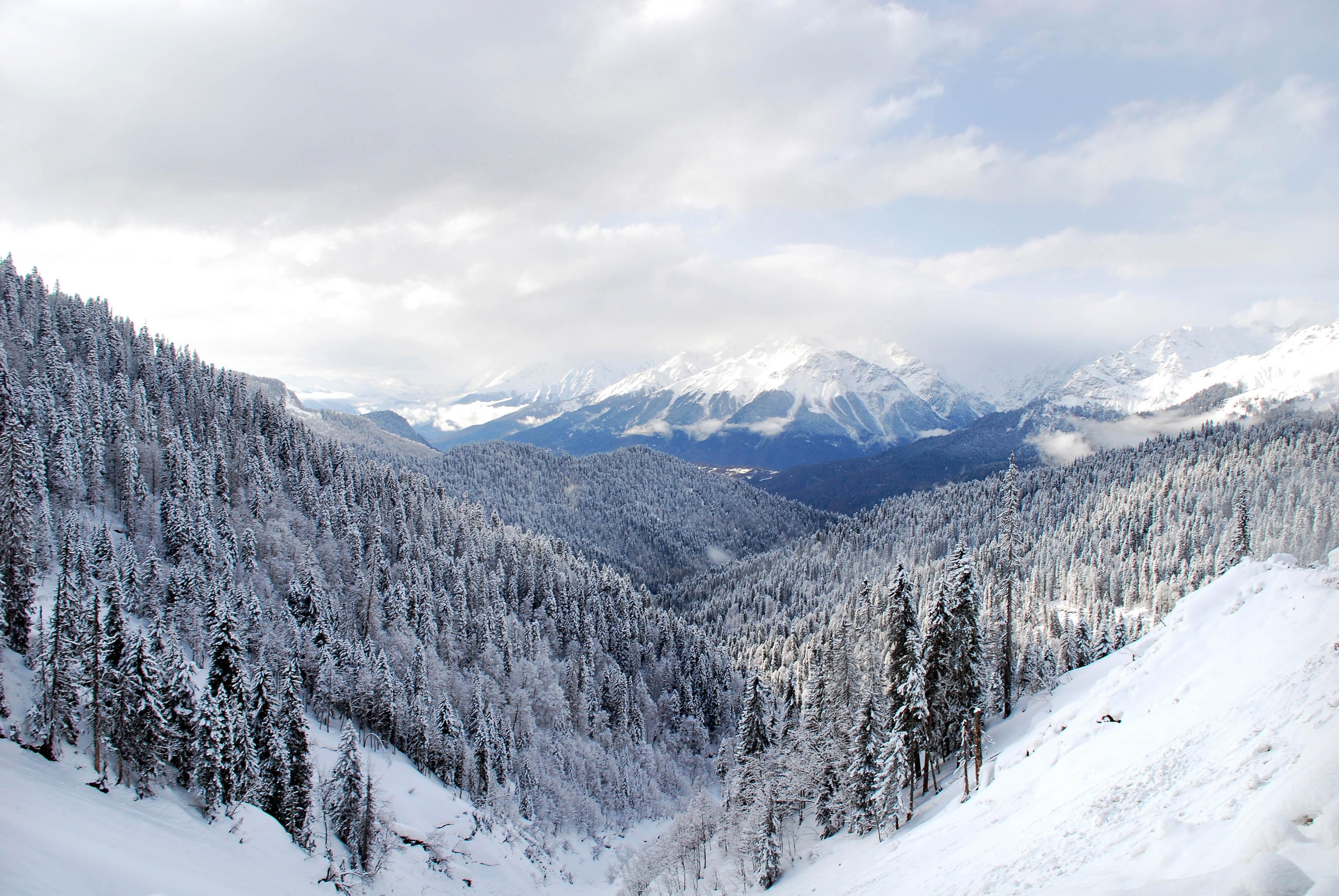 From Tbilisi: Borjomi and Bakuriani ski resort Tour 3