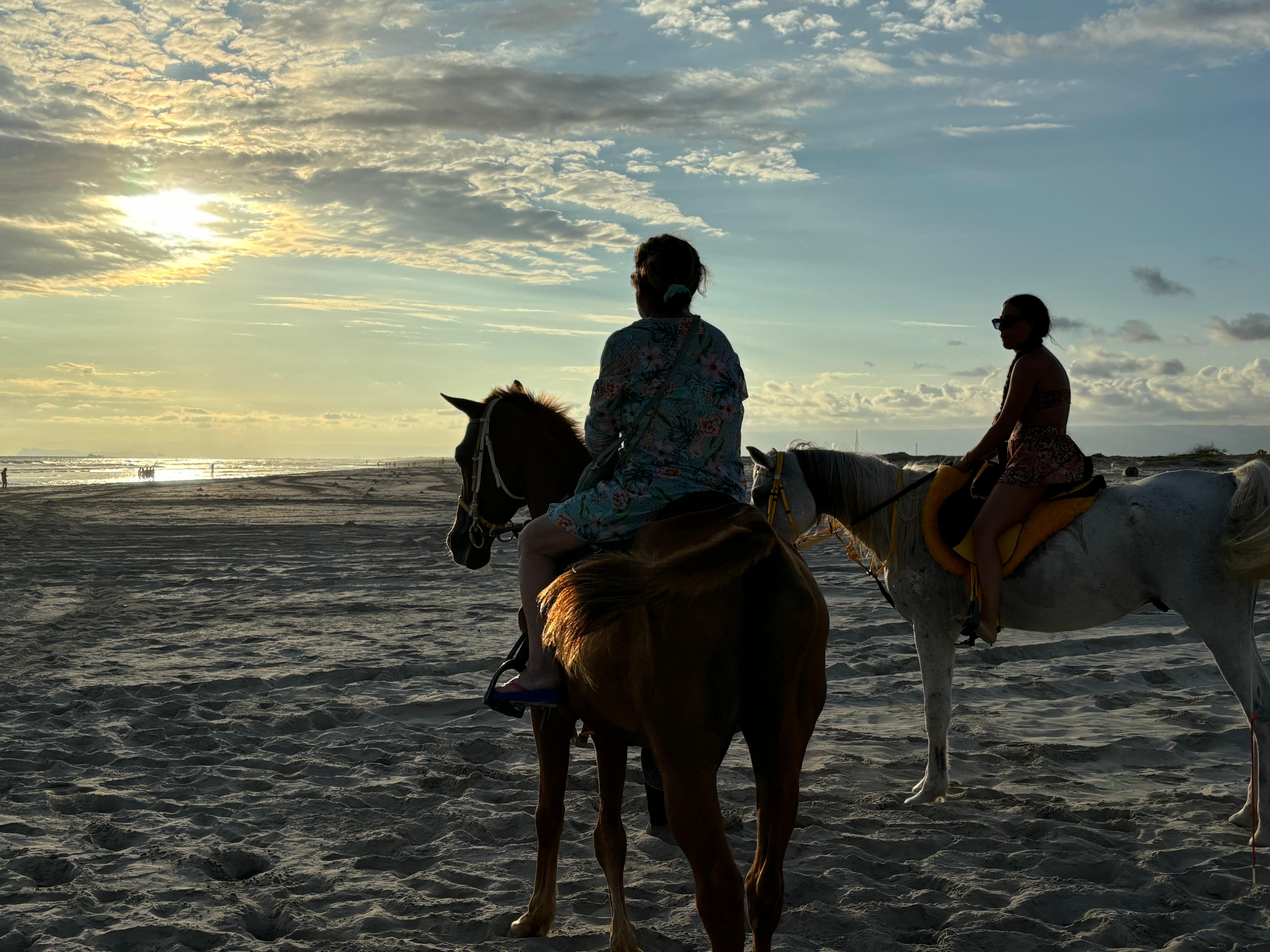 Salalah Horse Riding on the Beach optional Hotel Pick & Drop 2