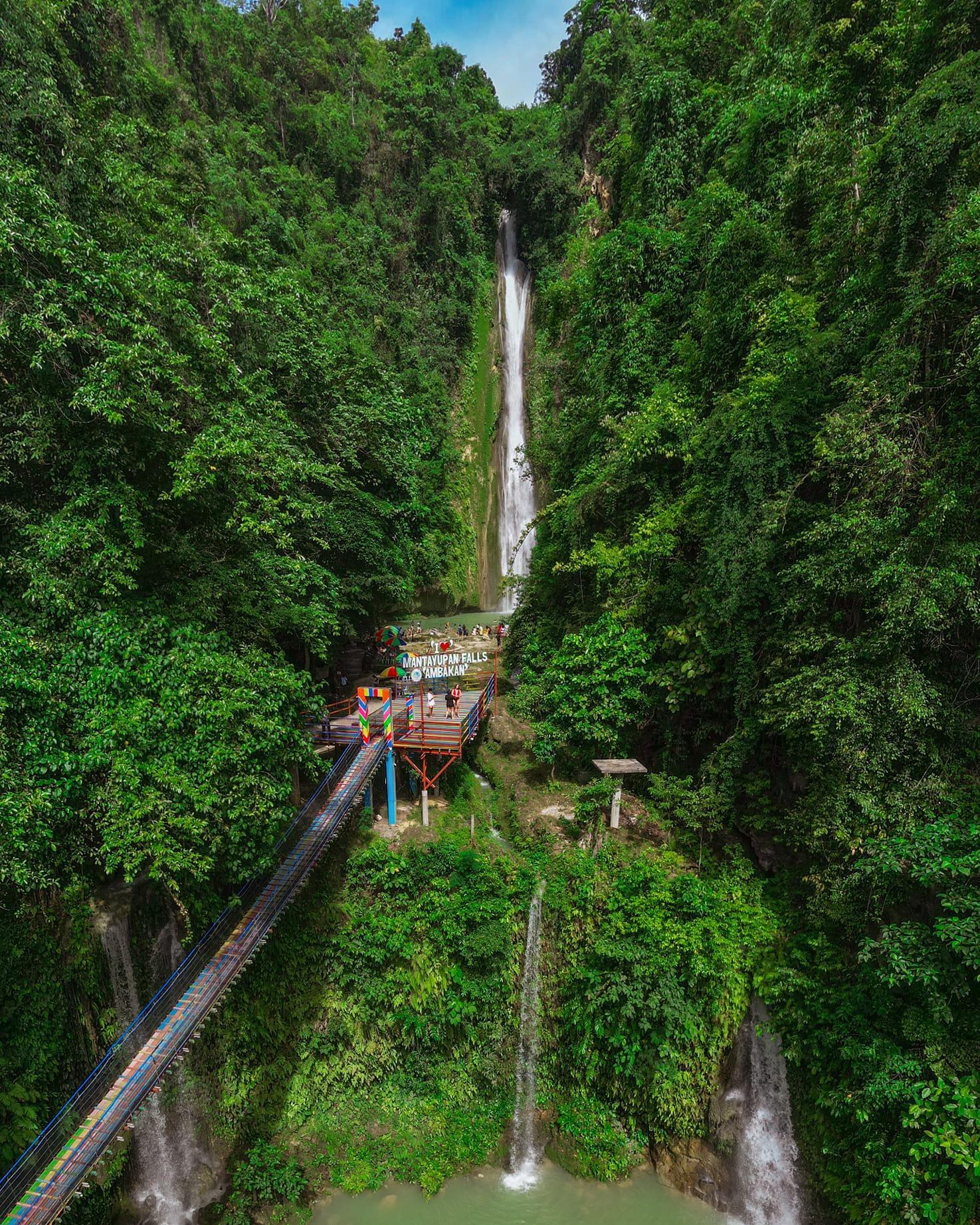 Oslob Whale Sharks, Moalboal Sardine Run & Mantayupan Falls