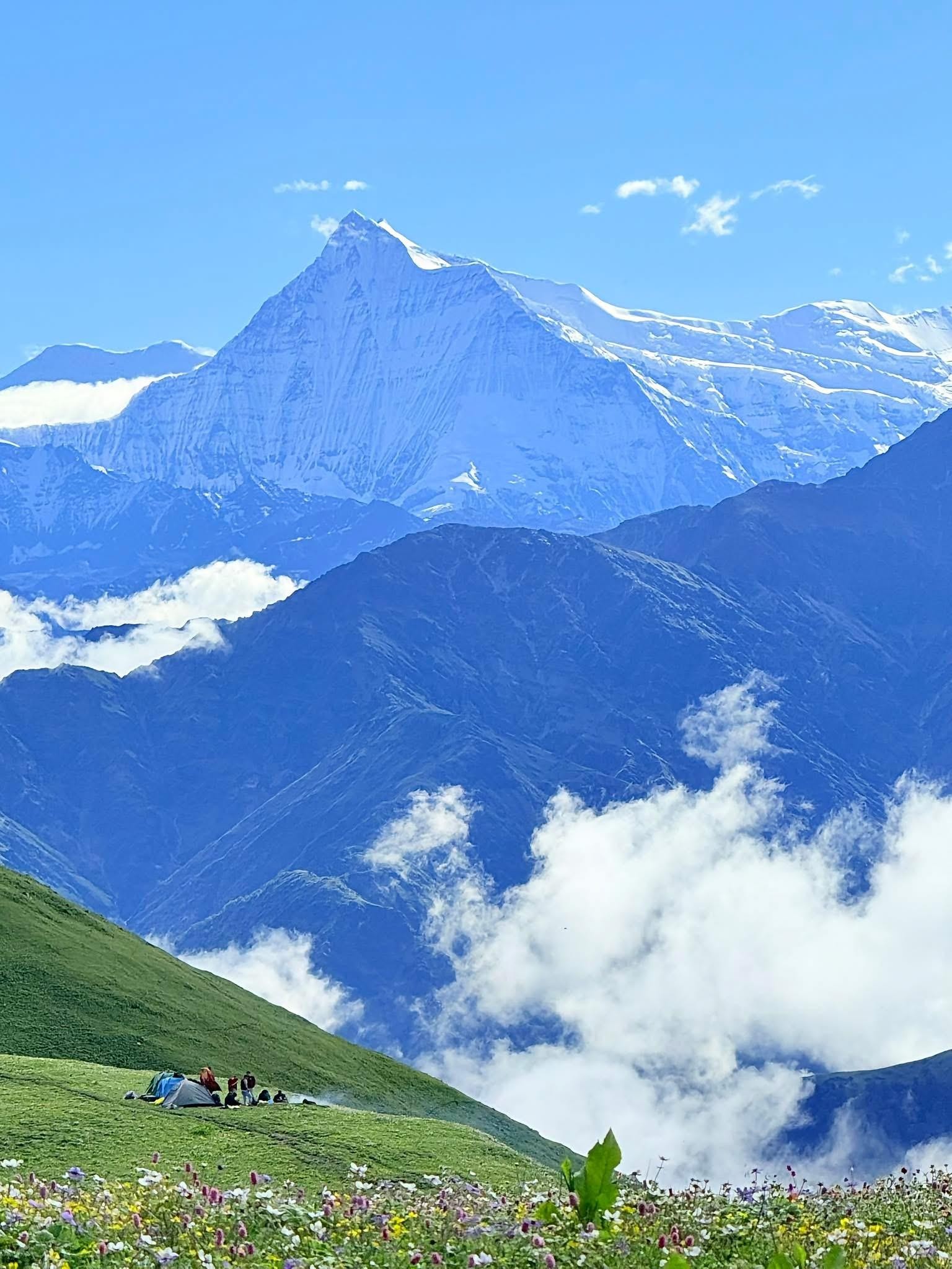 From Pokhara: 4-Day Dhorpatan & Bukipatan Trekking Tour