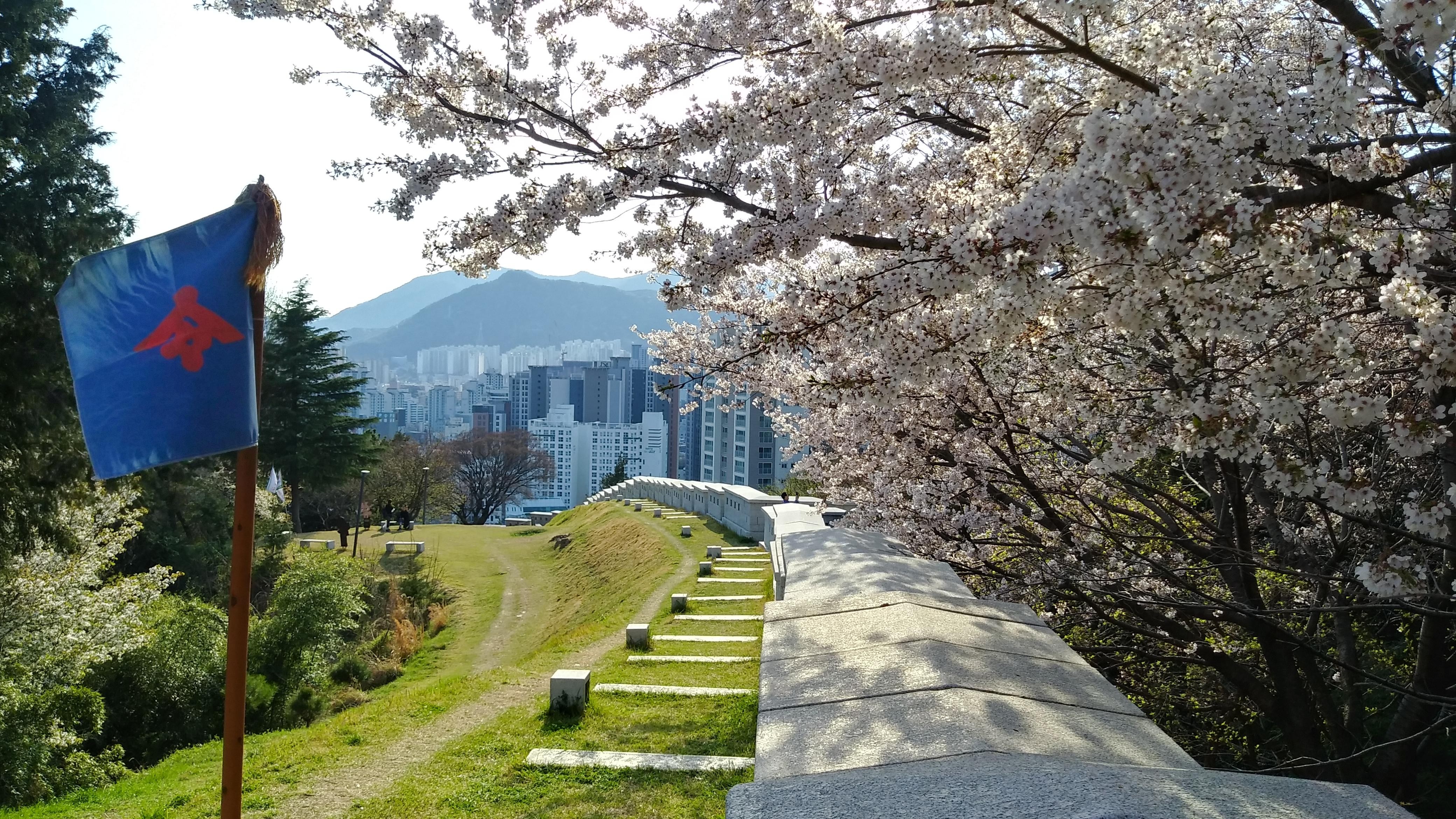 Discover Busan History Walking Tour: Culture & Resilience 3