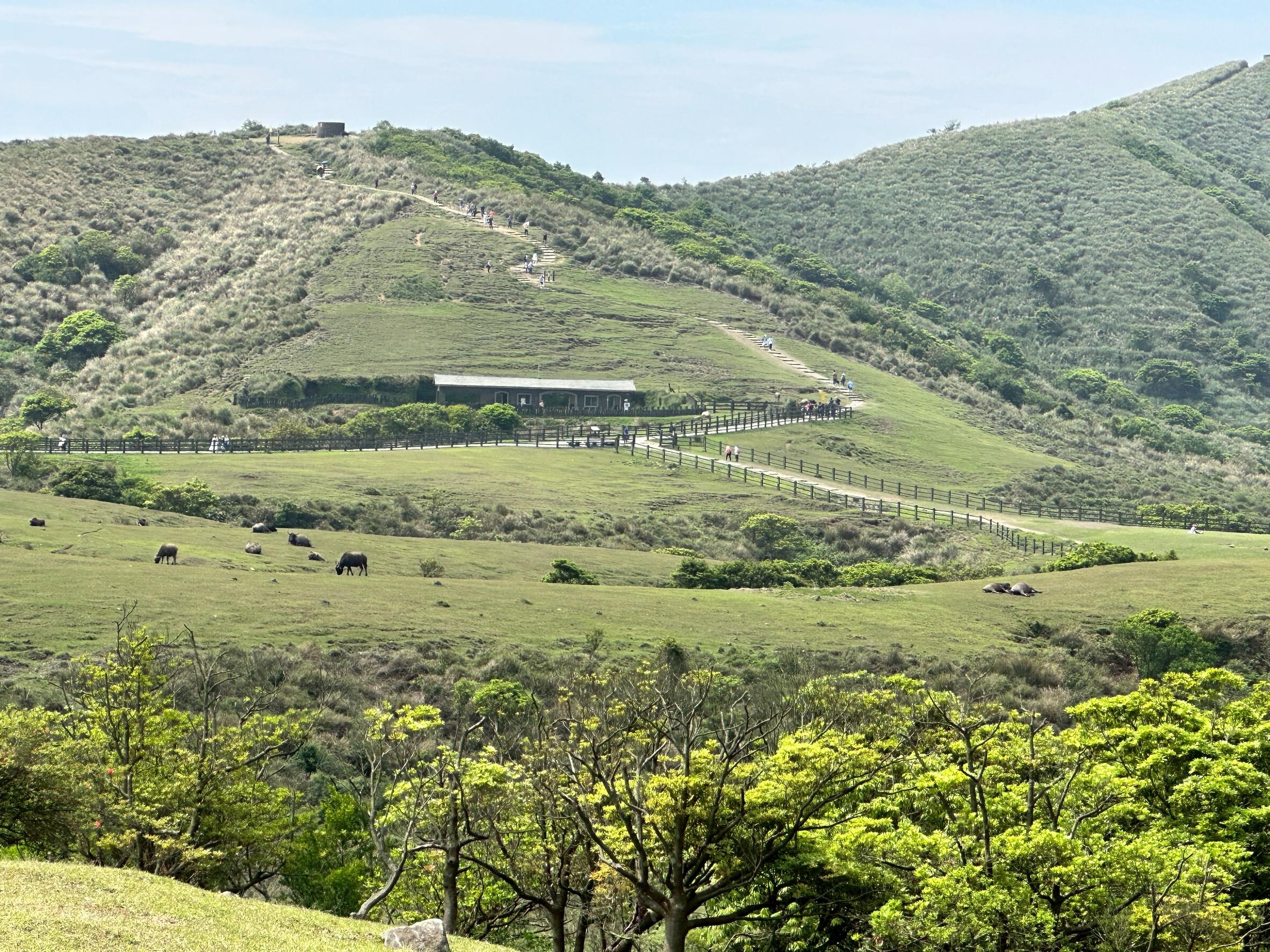 Taipei: Yangmingshan & National Palace Museum Full-Day Tour 2