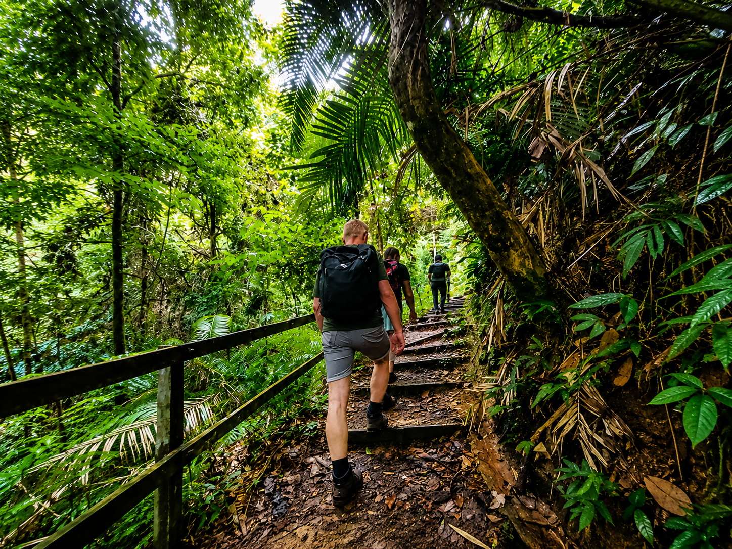 Sabah: Kinabalu Park, Hot Springs & Desa Cow Farm Day Tour 2