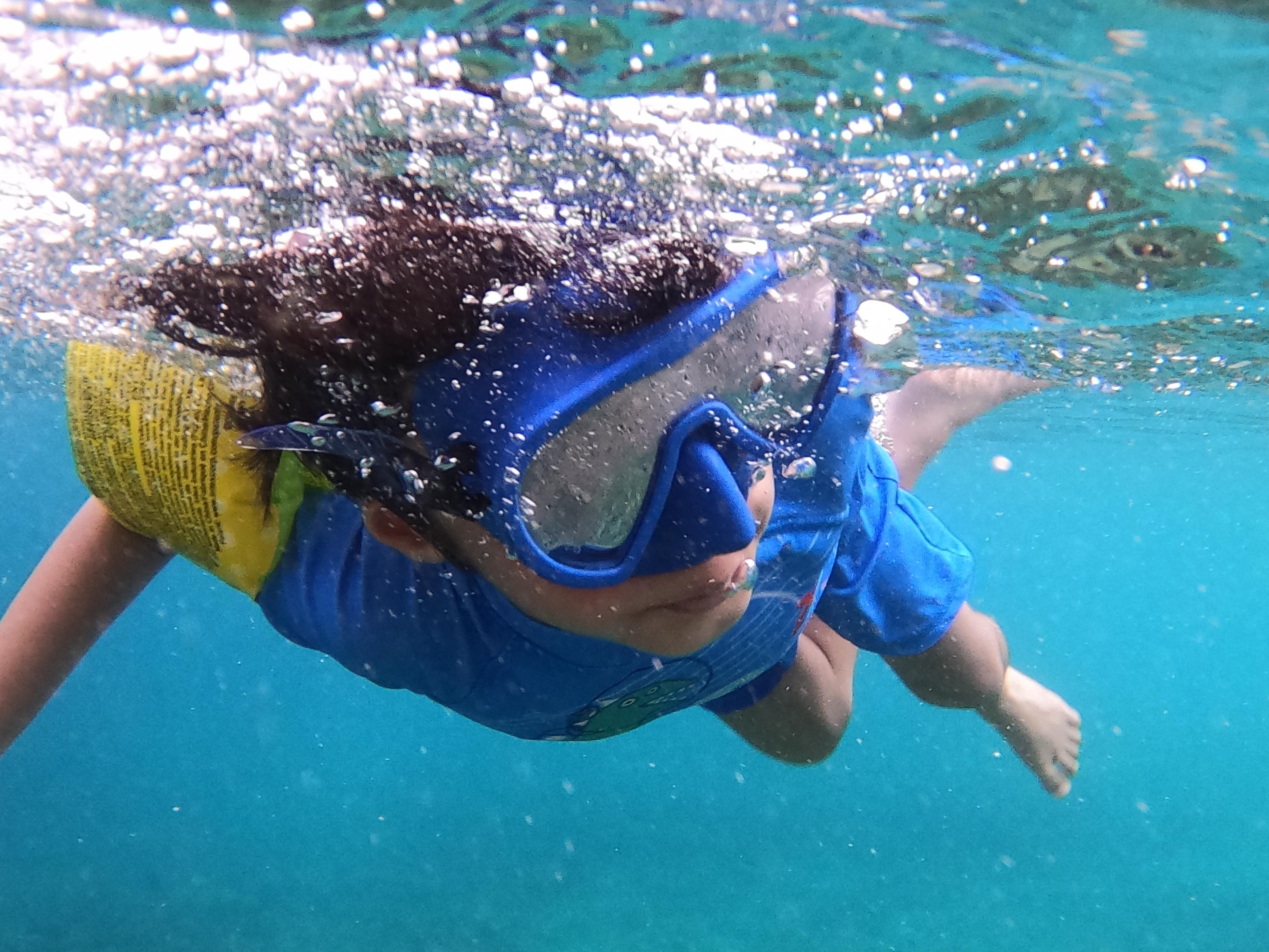 Seebeye: Sea tours to Dimaniyat island 3