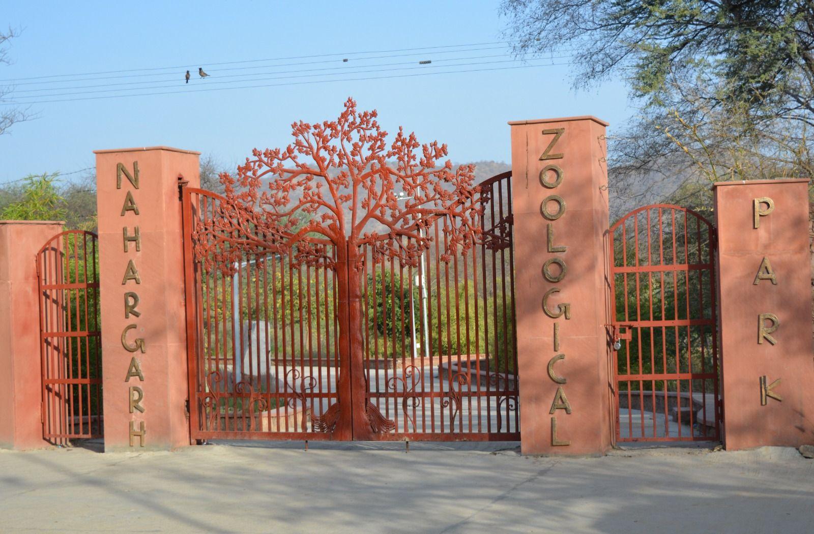 Jaipur: Nahargarh Biological Park Entry Ticket 2