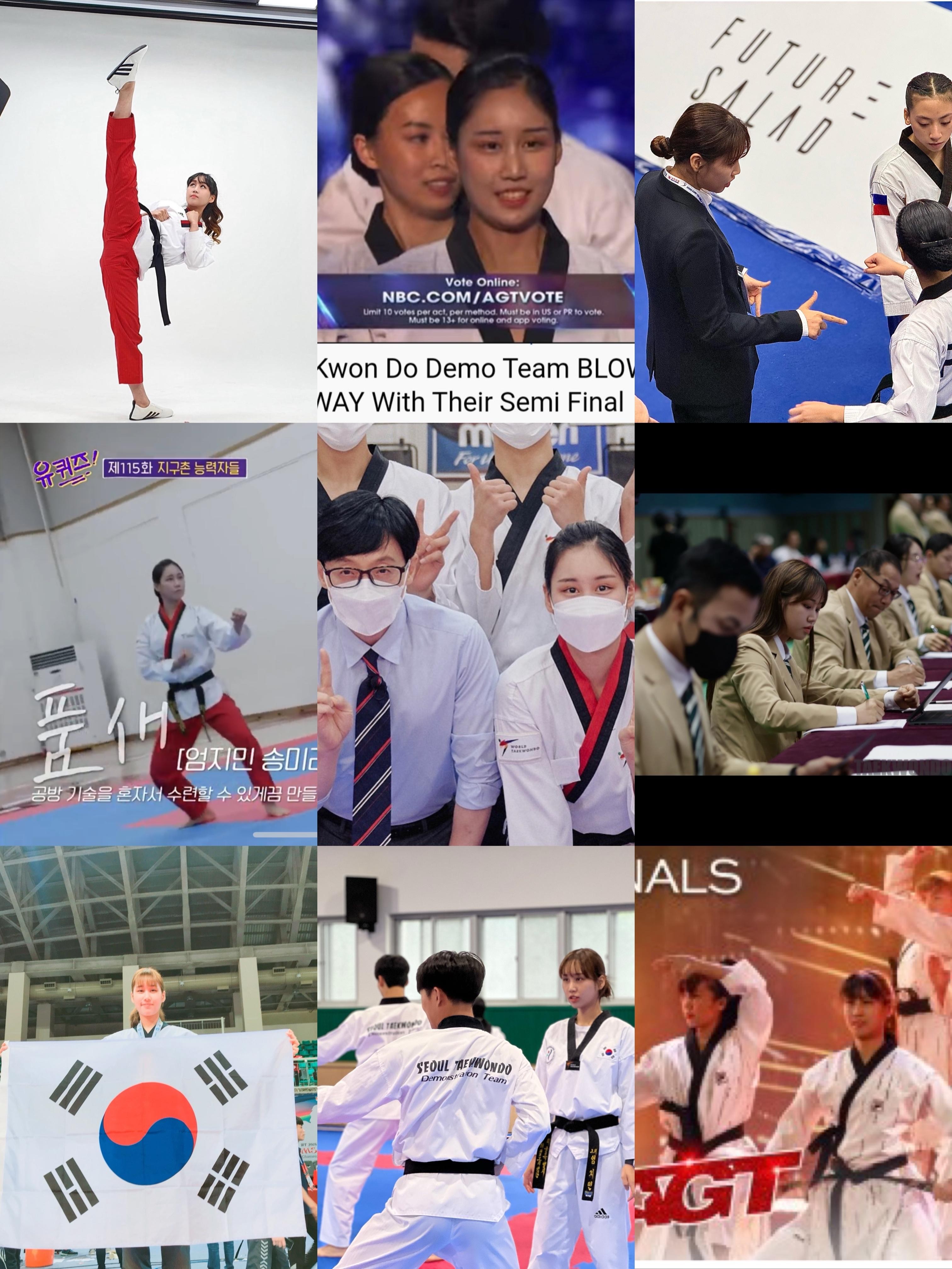 Seoul: Taekwondo Experience with National Champion 3