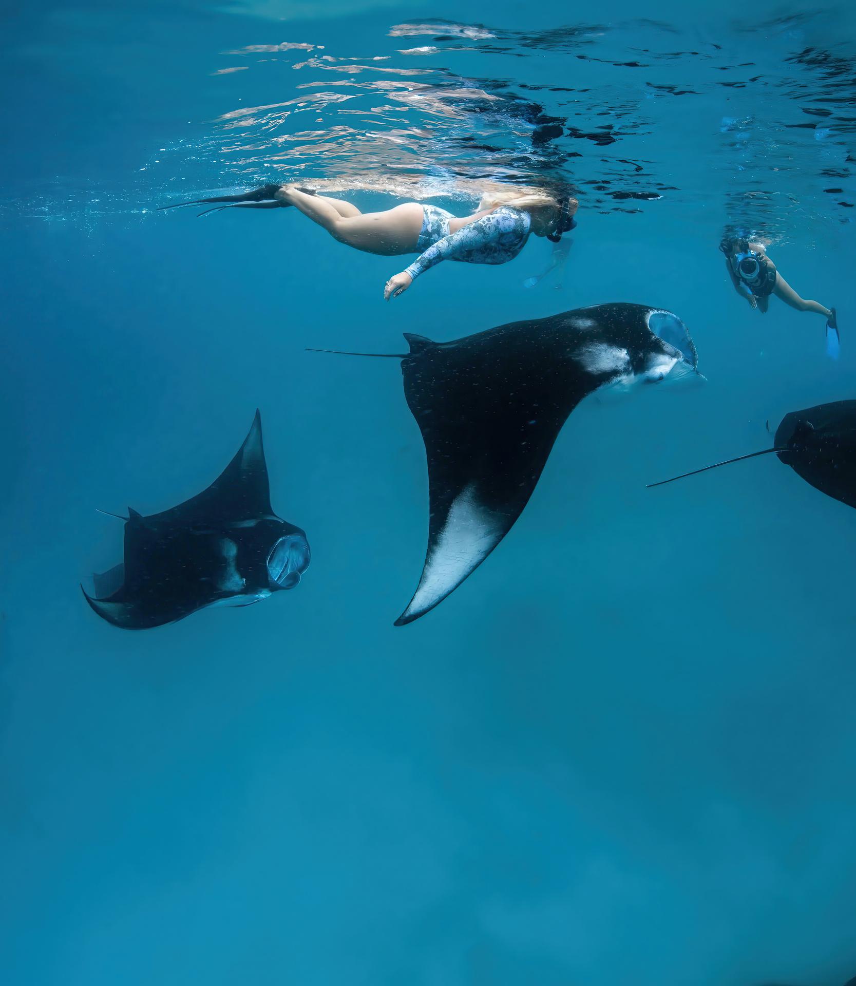 Maldives: Manta Ray Snorkeling at Rasfari Corner 2