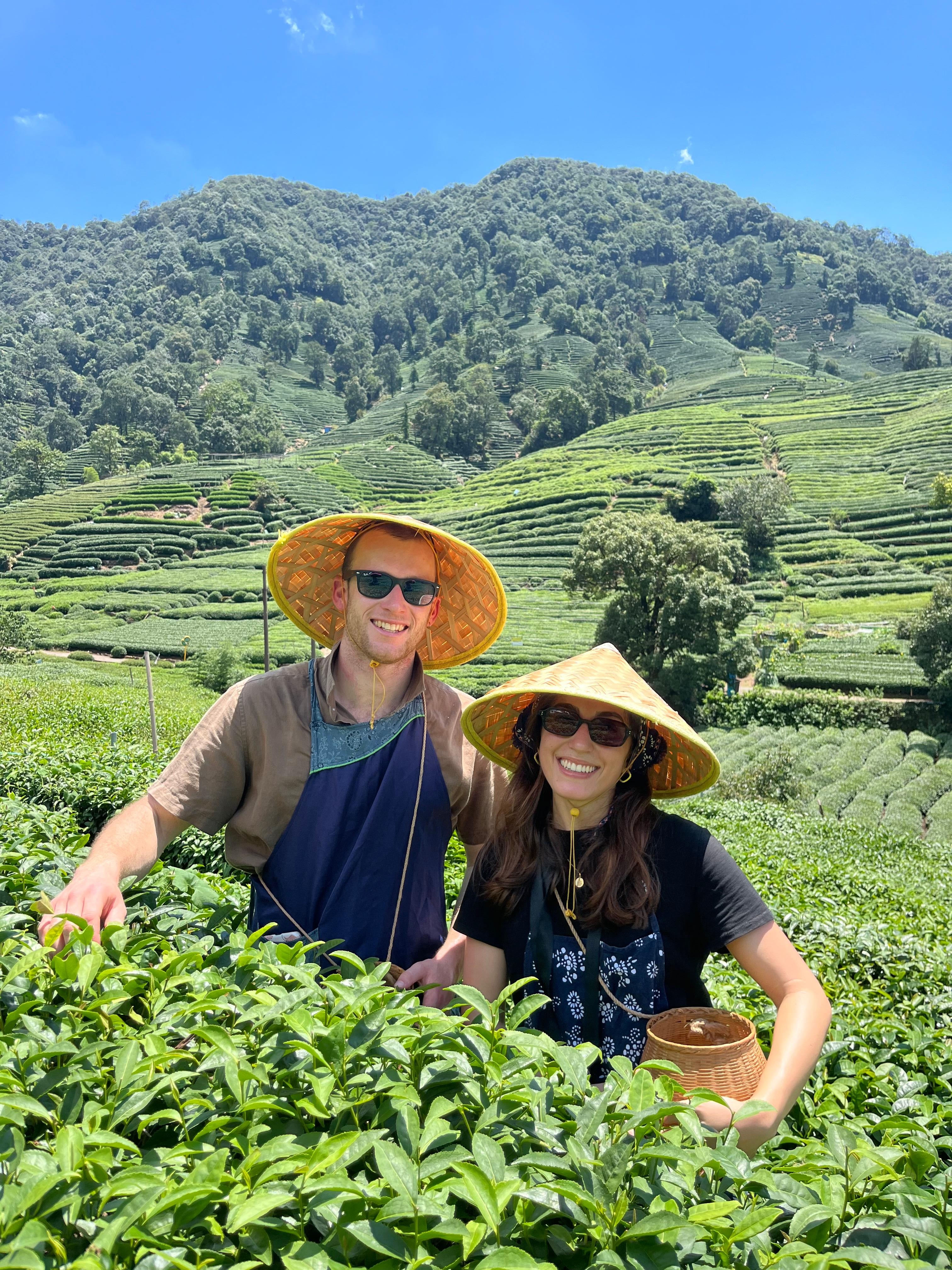 Shanghai to Hangzhou:Tea‑Picking & West Lake Day Tour