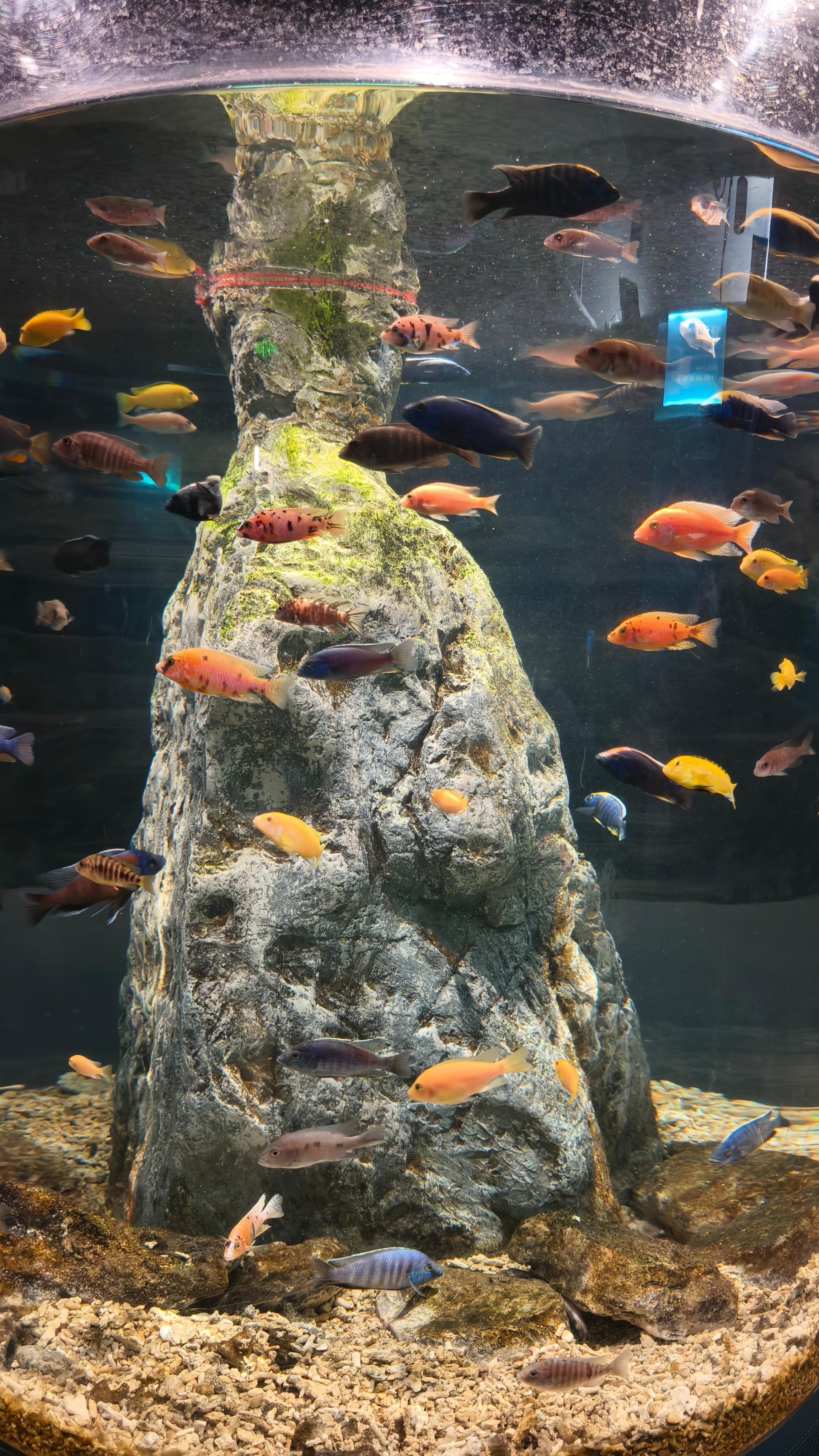 BeijingNatural History Museum Guided Tour & Entry Assistanc