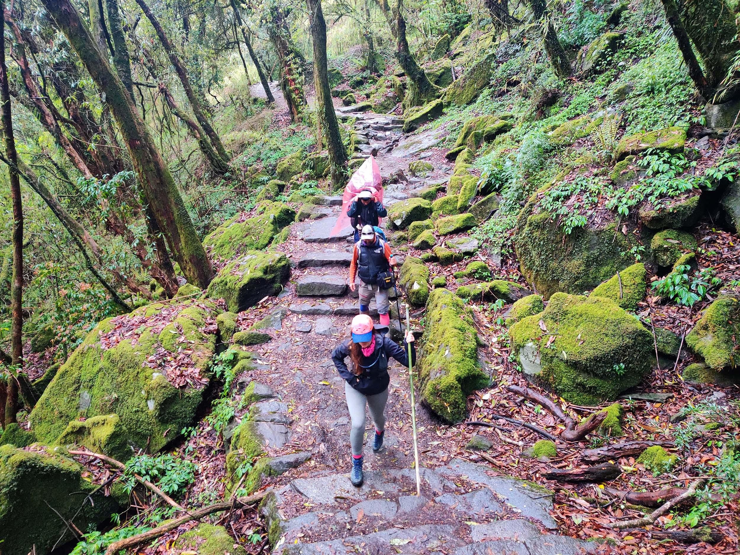 Pokhara: Annapurna Base Camp (ABC) 6-Day Trek for Beginners 2