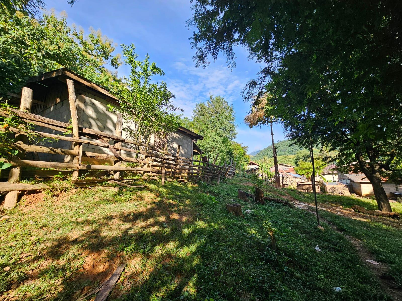 Luang Prabang: Authentic Lao Village & Farm Experience Day 3