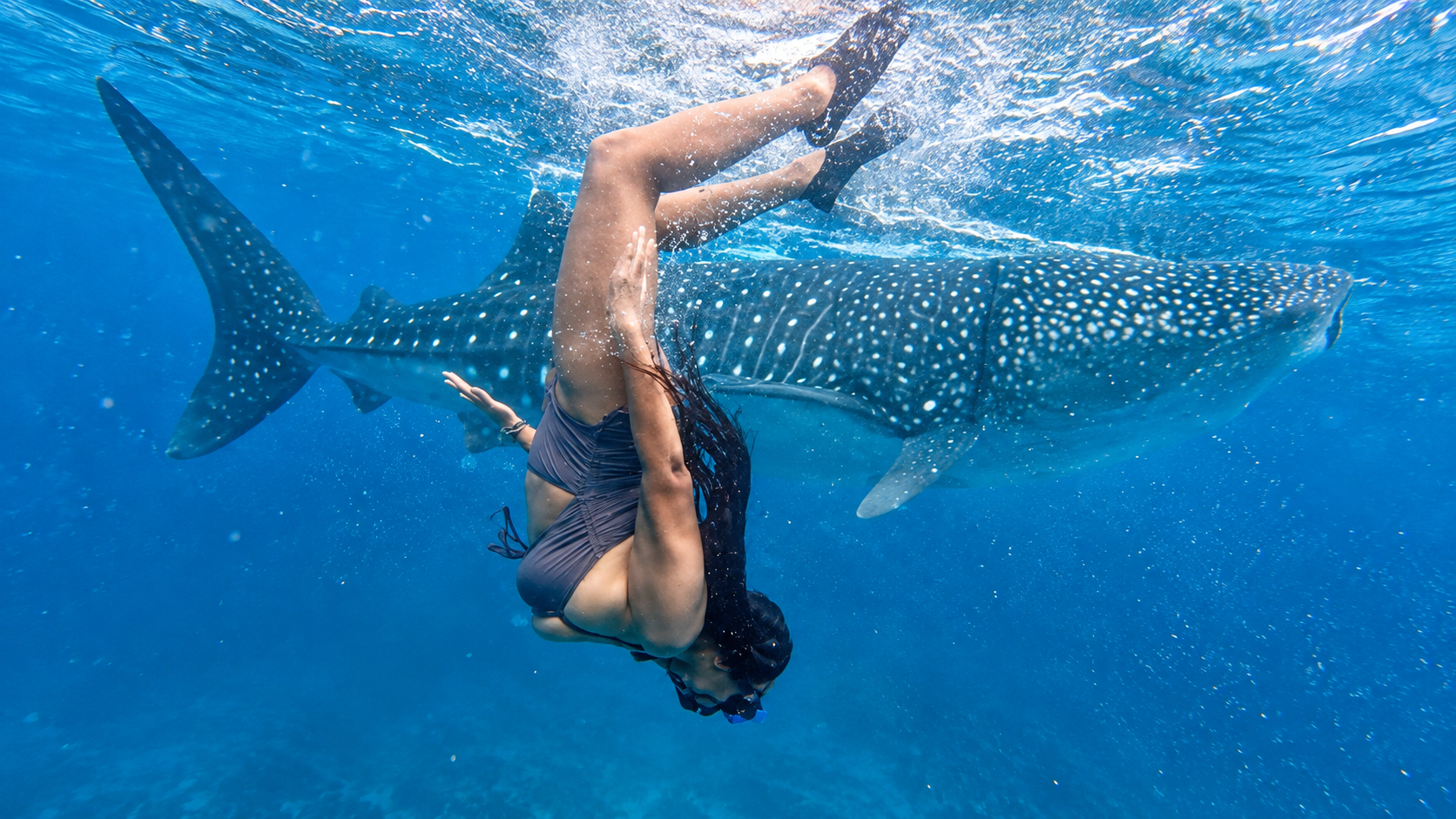 Cebu: Swim with Gentle Giants, Twin Falls & Sardine Run