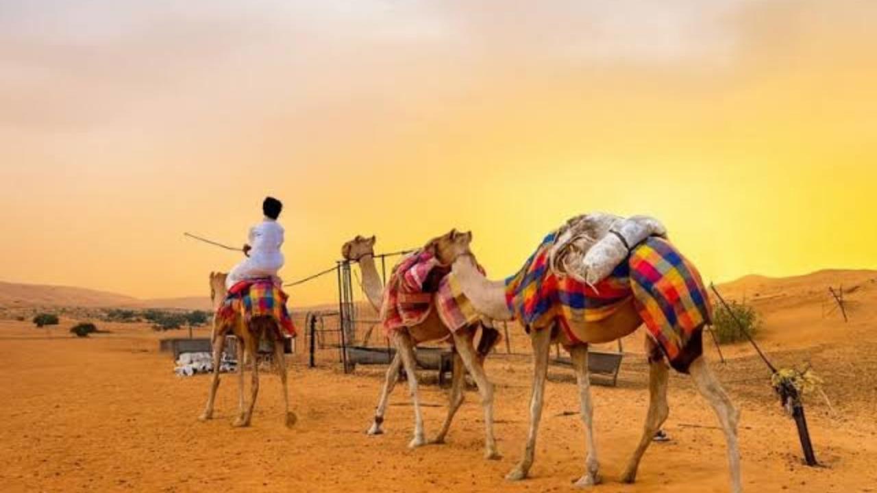 Salalah Desert: Ubar, Camel Ride & Sunset