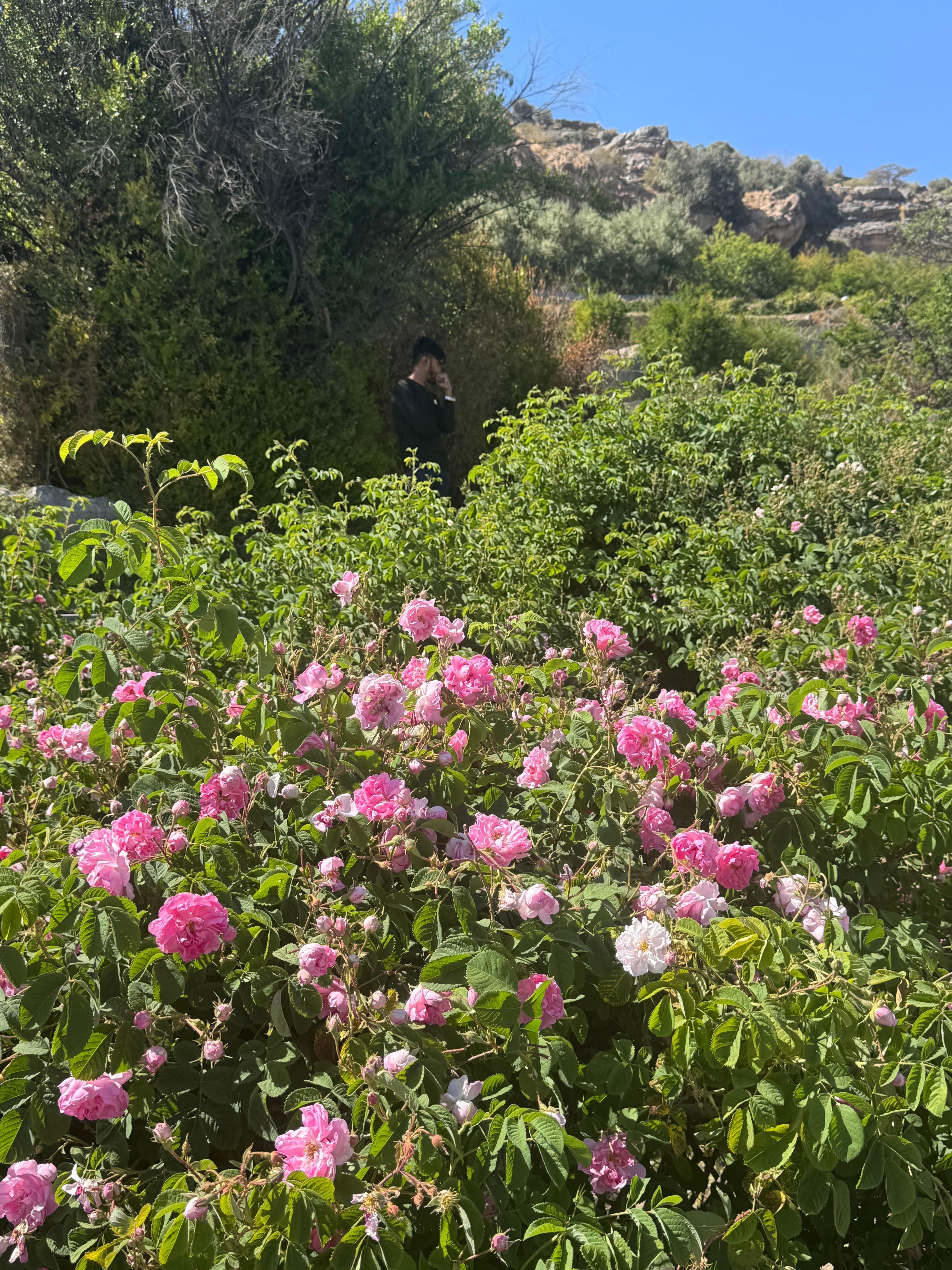 From Muscat: Jabal Akhdar Day Trip to Mountain Villages 2