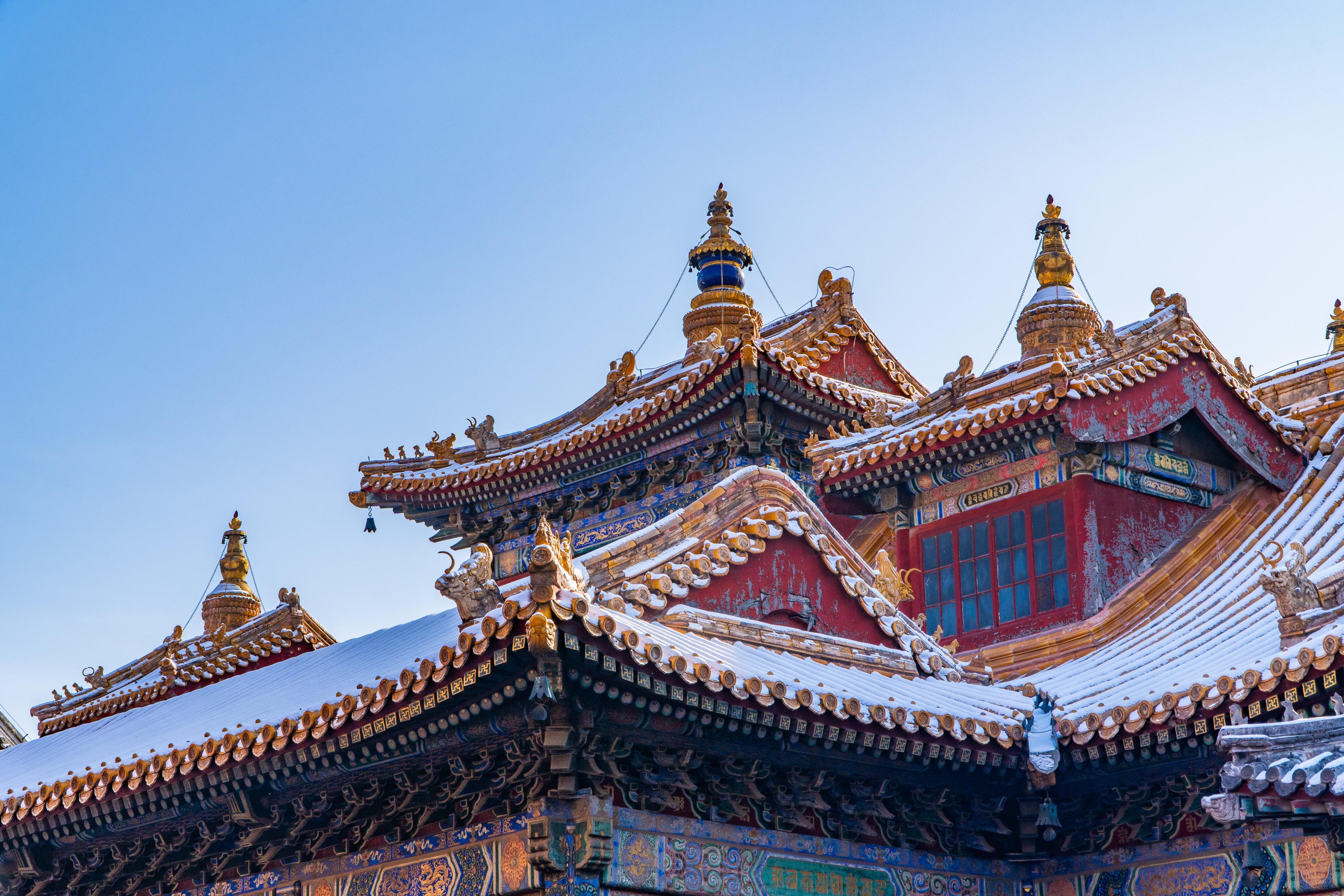 Lama Temple One Day Tour with Chinese Cultural Immersion