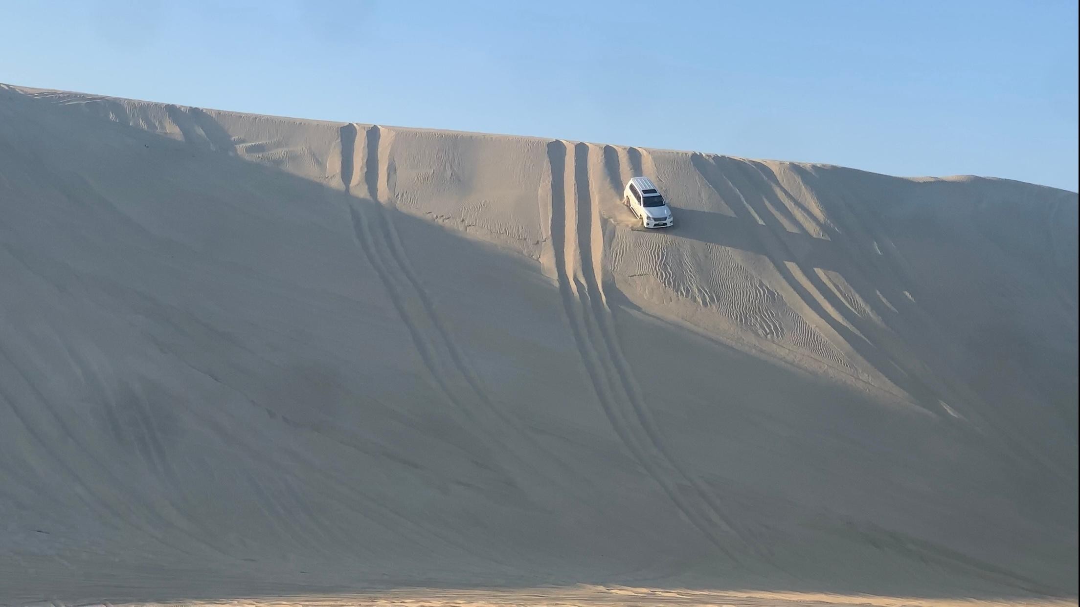 Doha: Safari 2