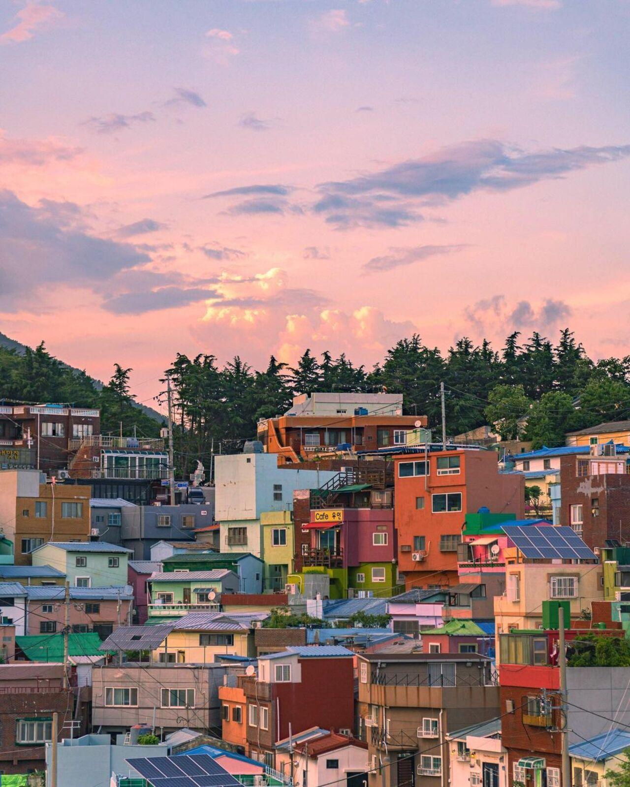 Busan Coastal Tour: Yonggungsa, Cruise & Gamcheon 3