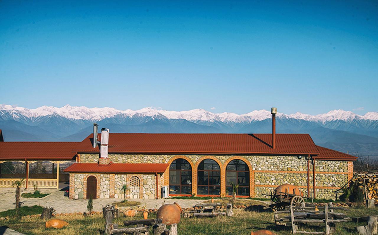 Tbilisi: Kakheti Day Trip with Wine Tasting 2