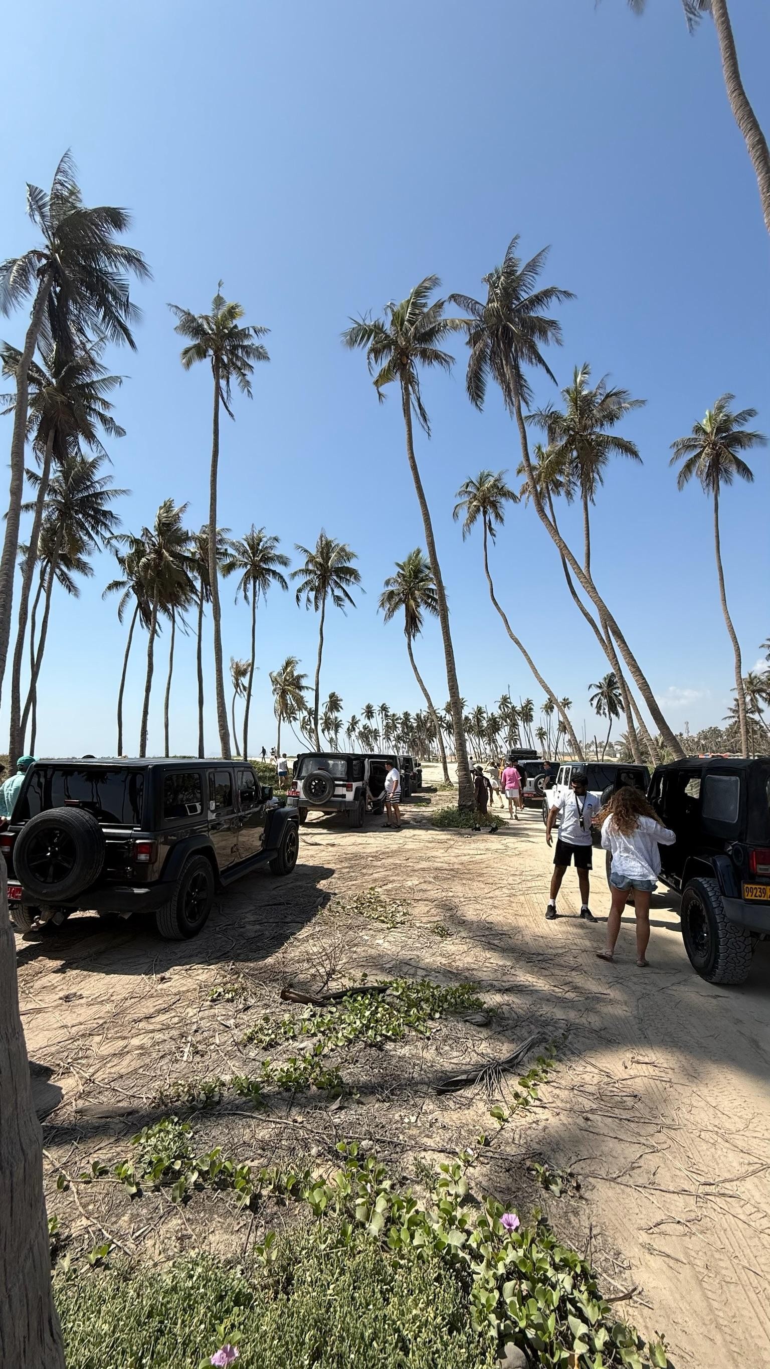Salalah: Landscape Tour 3