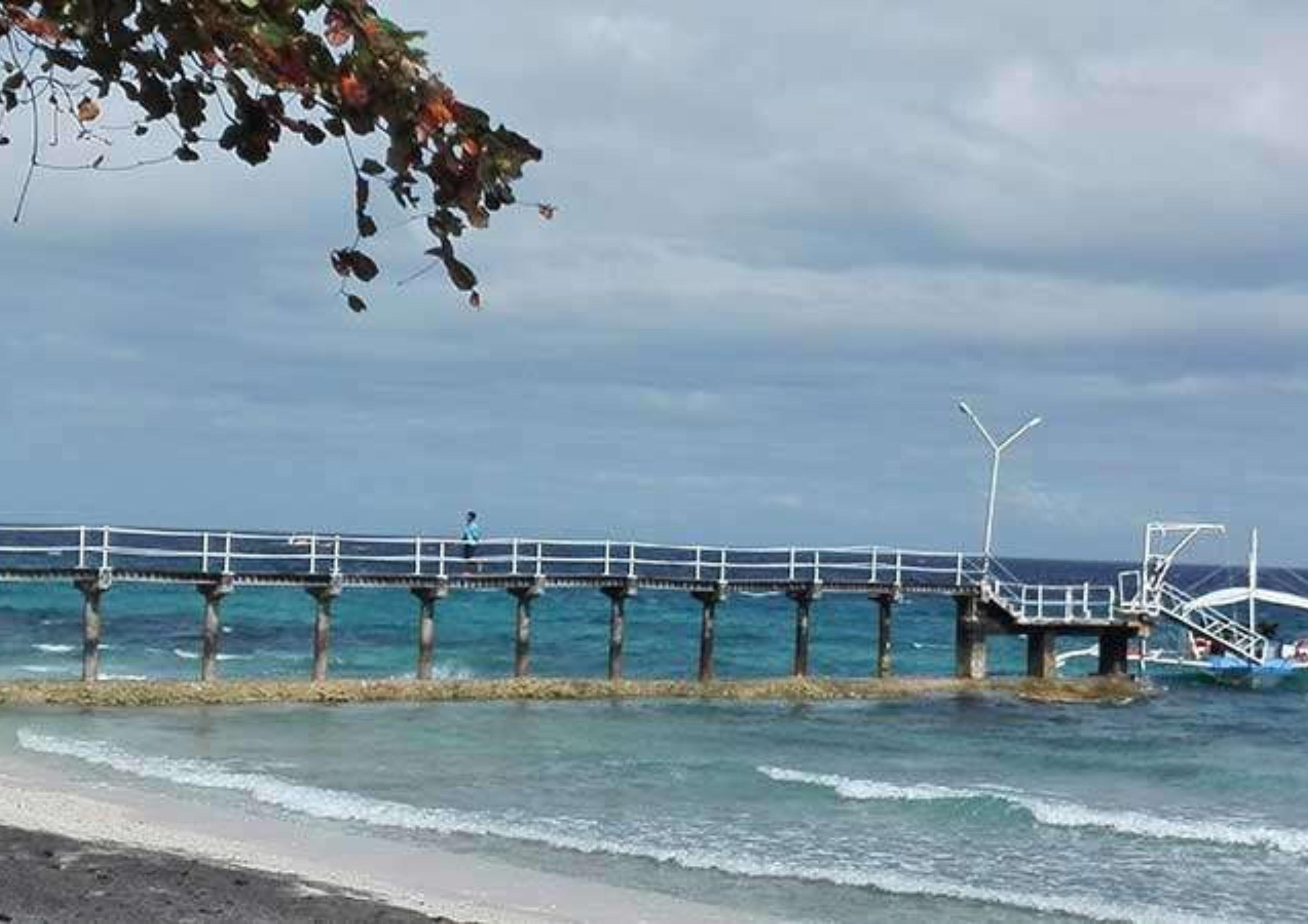 Cebu: Whale Shark Swim, Kawasan Falls, and Moalboal Tour 2