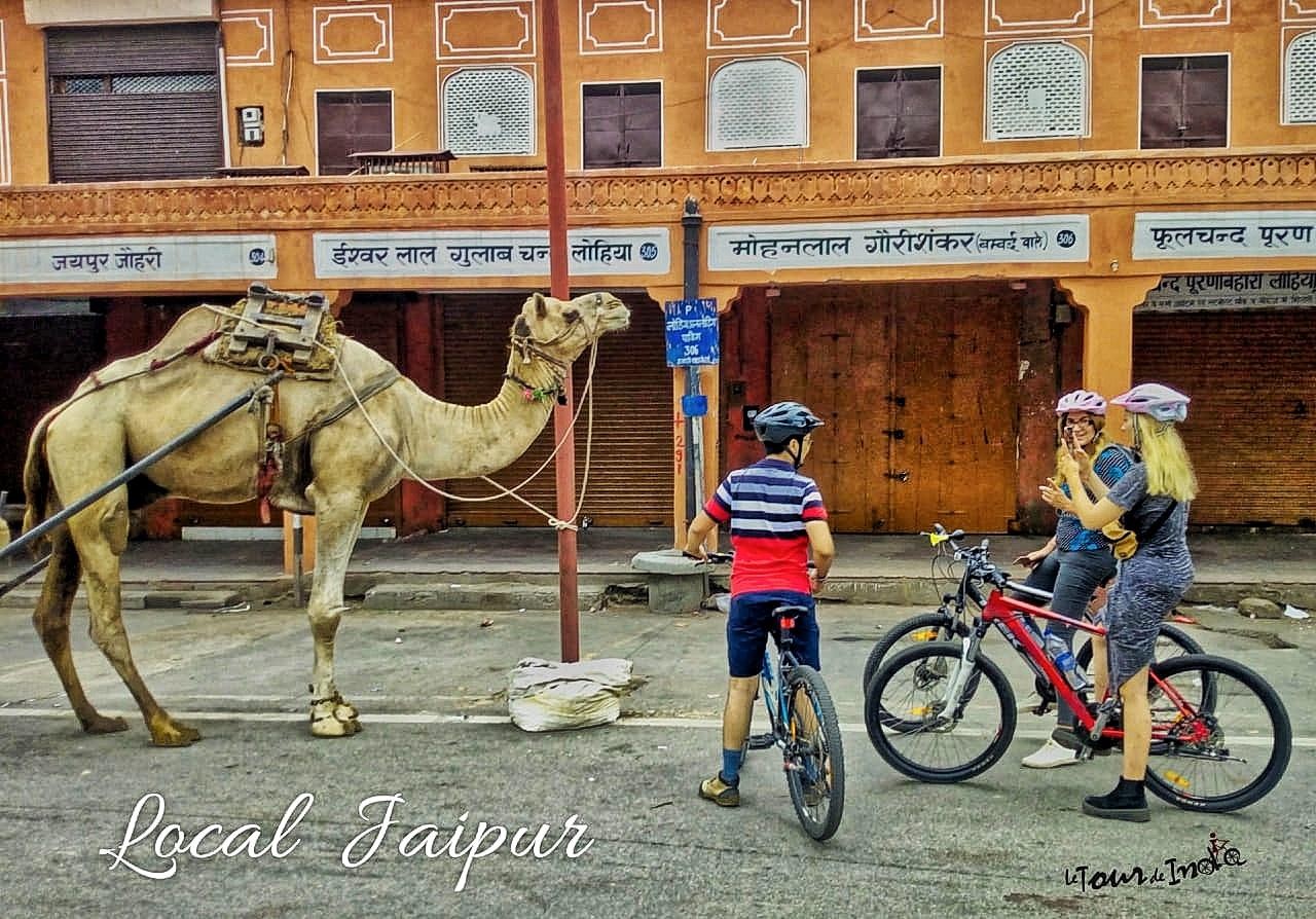 Jaipur: 3-Hour Morning Bike Tour of Jaipur Old City