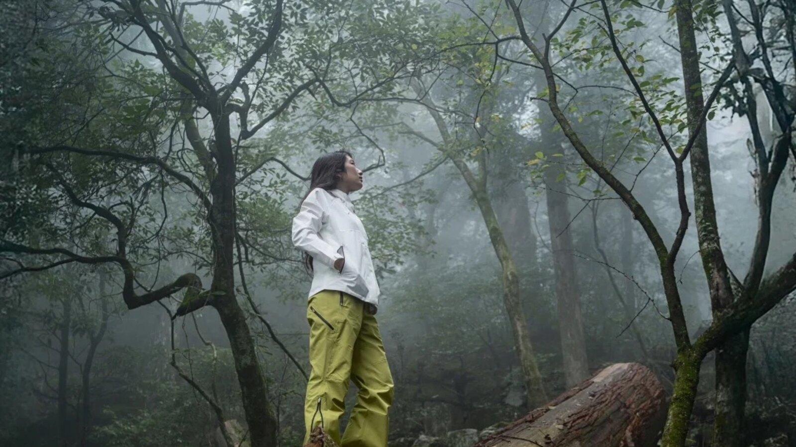 Shanghai: Shaoxing Water-Fir Forest Private Day Trip 2