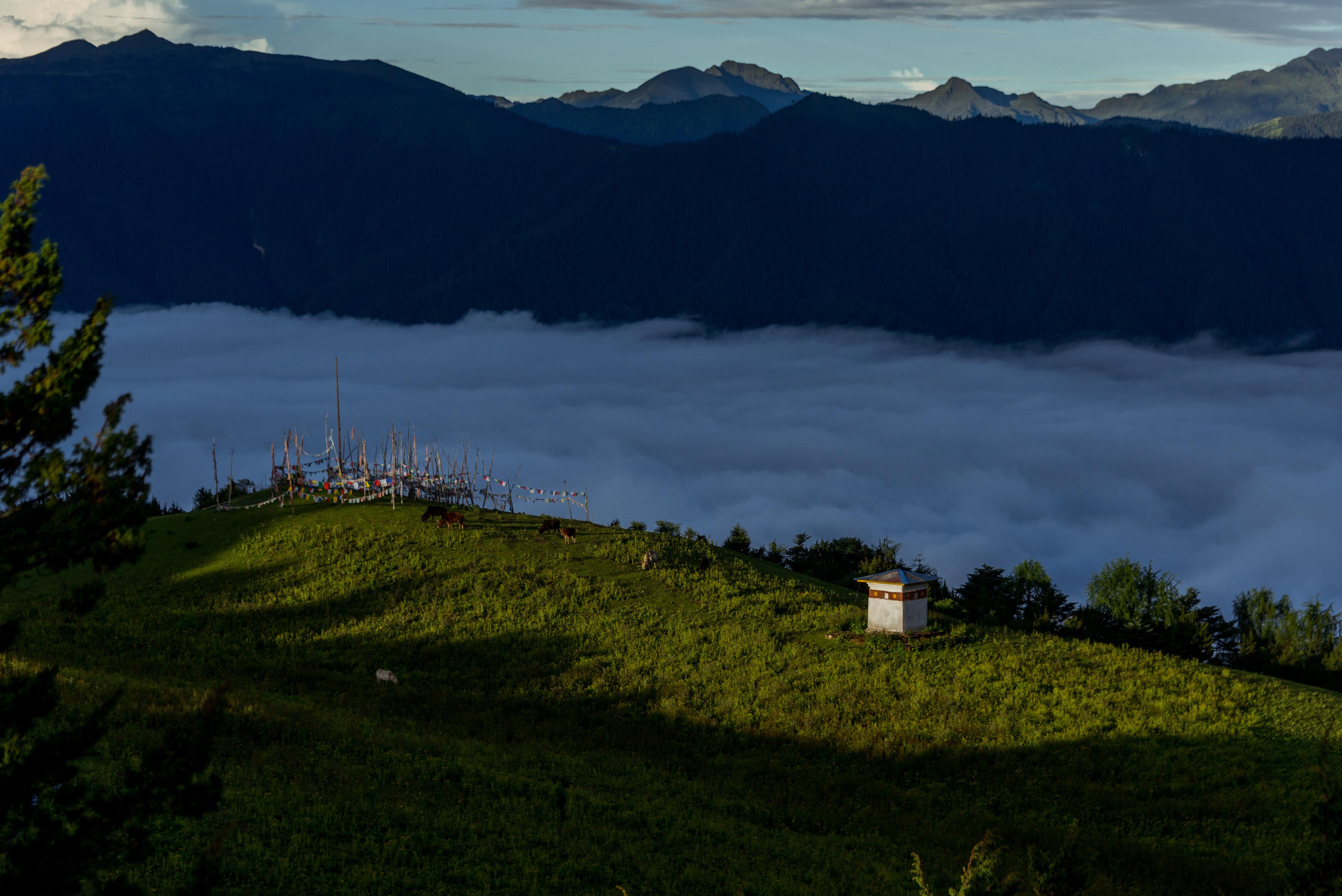Paro: 2-Day Bumdra Monastery Trek with Tiger’s Nest Descent 3