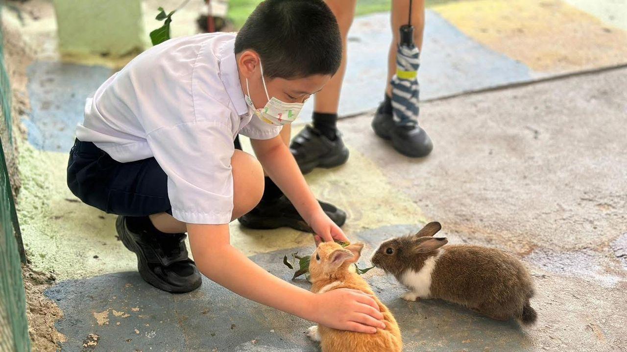 Penang Village Fun: Congkak Game, Local Treat & Petting Zoo 3