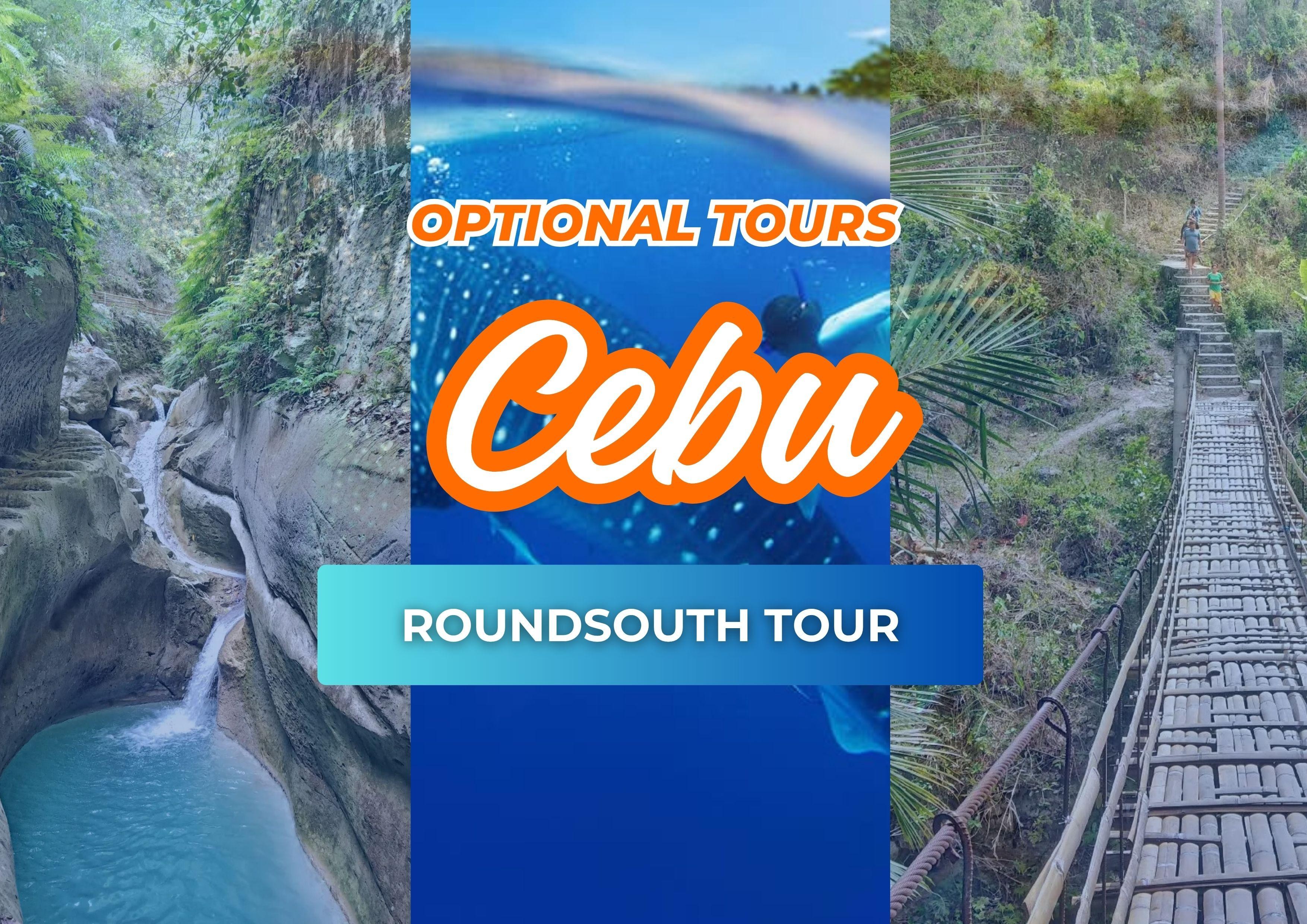 Cebu: Whale Shark Swim, Kawasan Falls, and Moalboal Tour