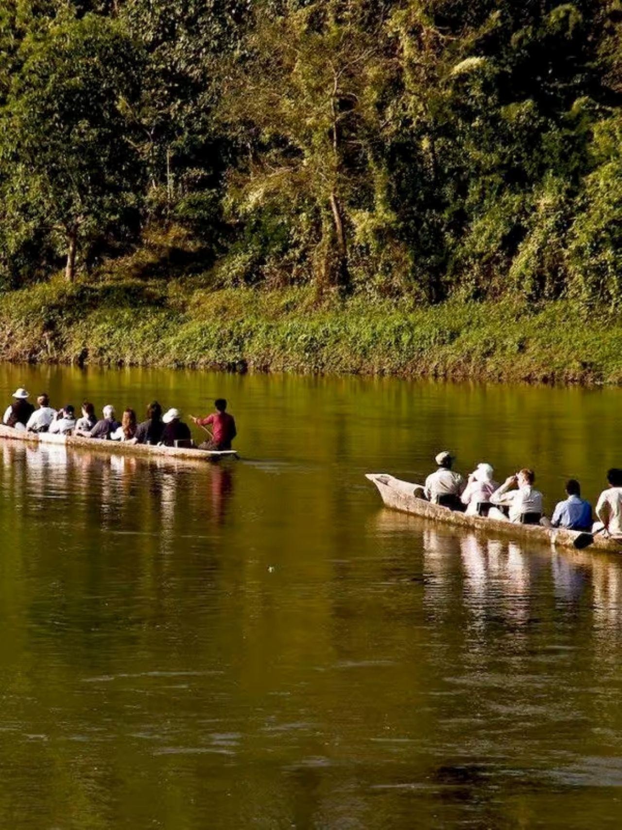 Chitwan: Rhinos, River Canoeing & Tharu Heritage 3