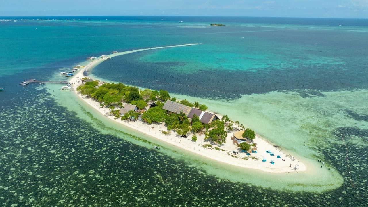 Bohol Dolphin, Balicasag, Pamilacan and Virgin Island Tour 2