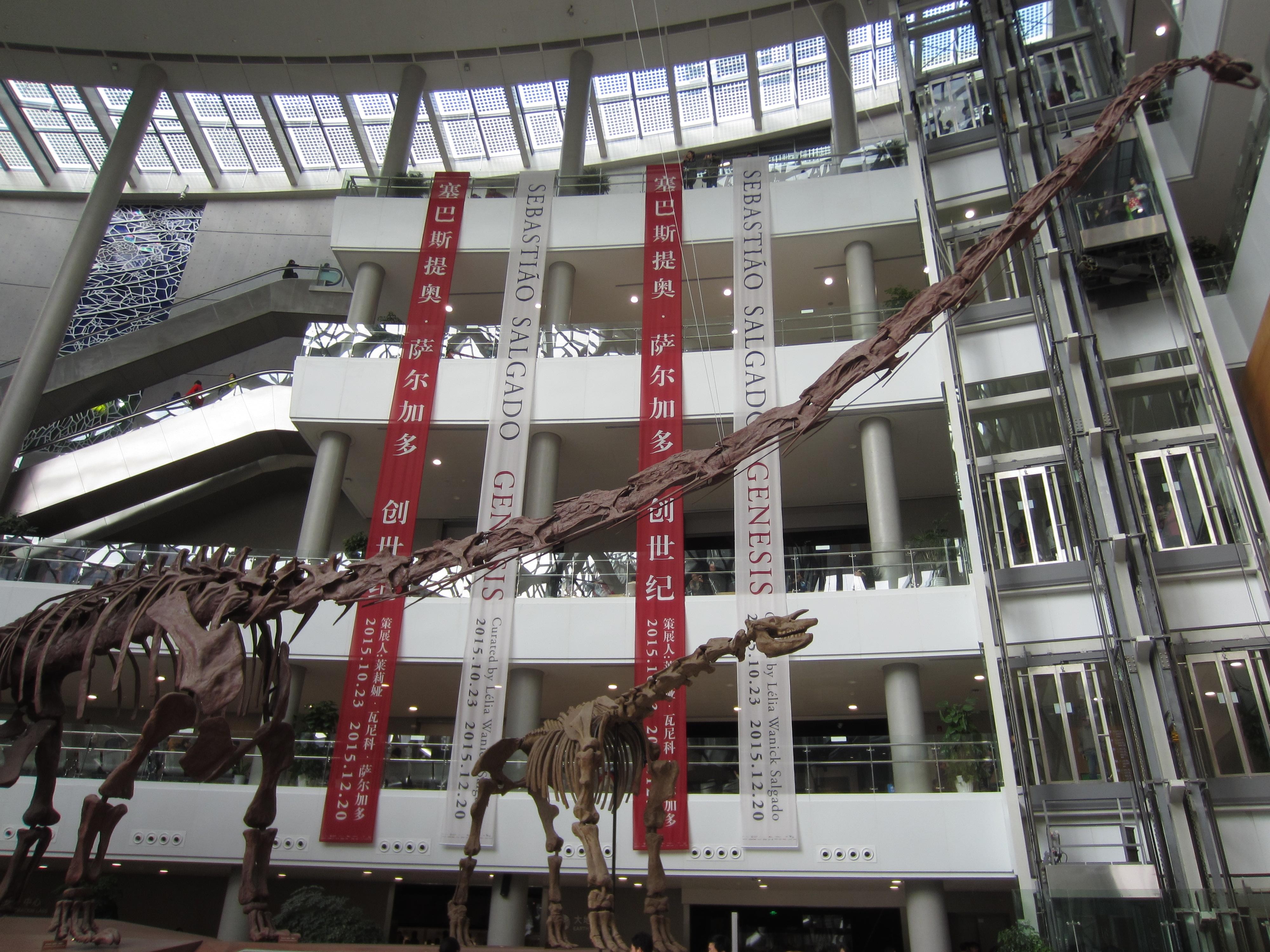 Shanghai: Private Natural History Museum Family Science Tour 3