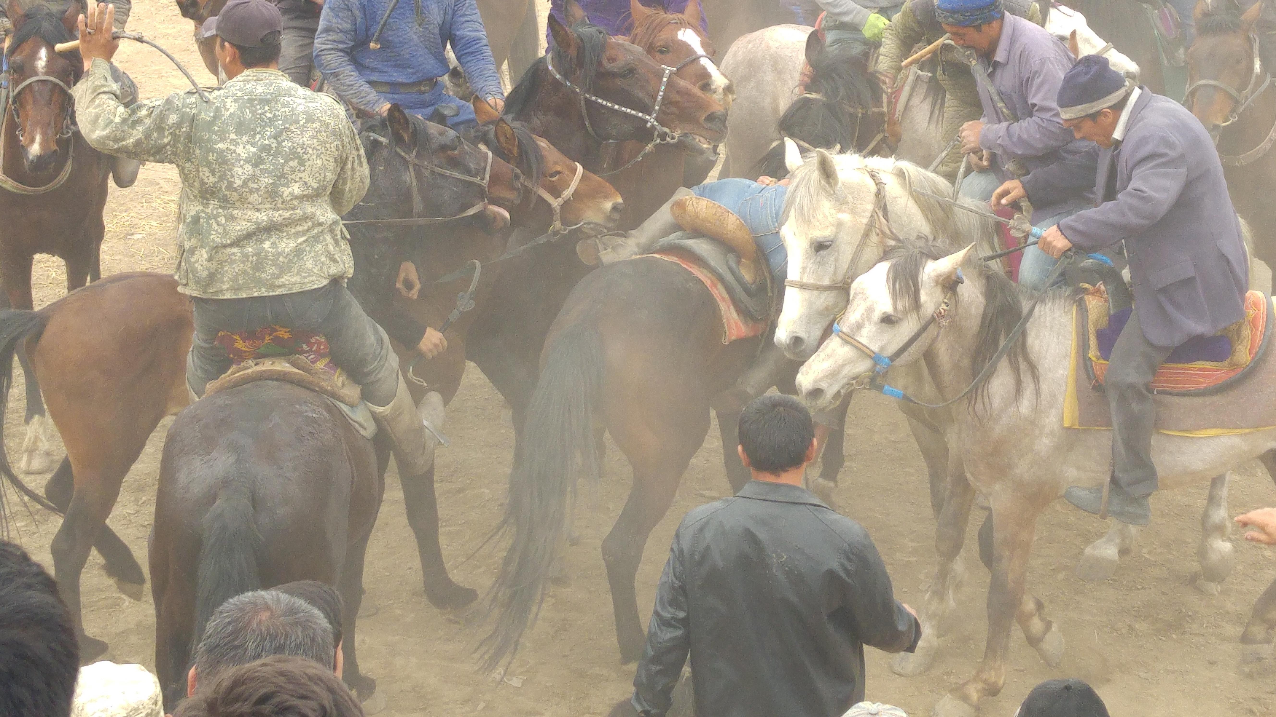 Samarkand: Live Uloq-Kopkari (Buzkashi) Game Day Tour 3