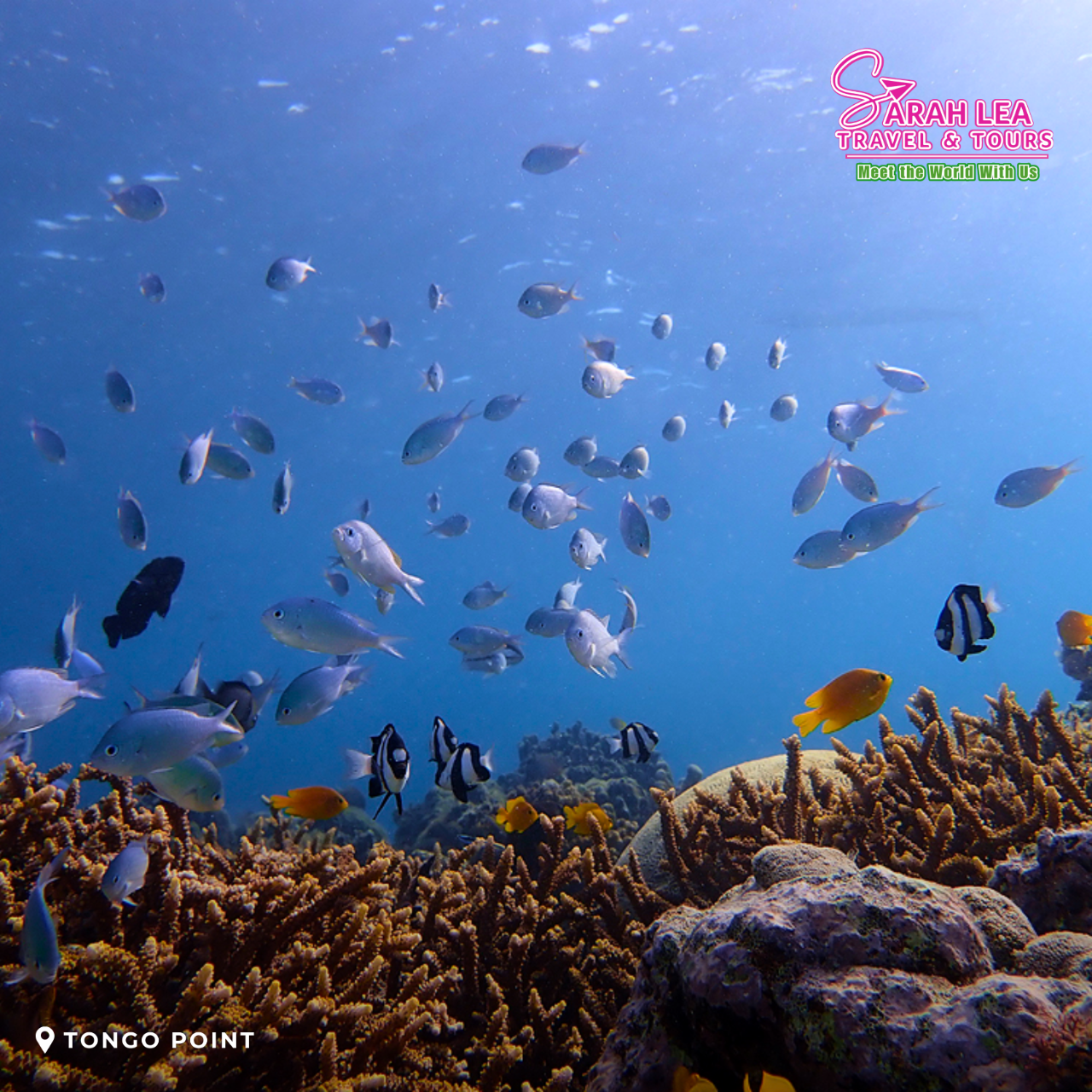 Cebu: Moalboal & Kawasan Canyoneering Adventure 2