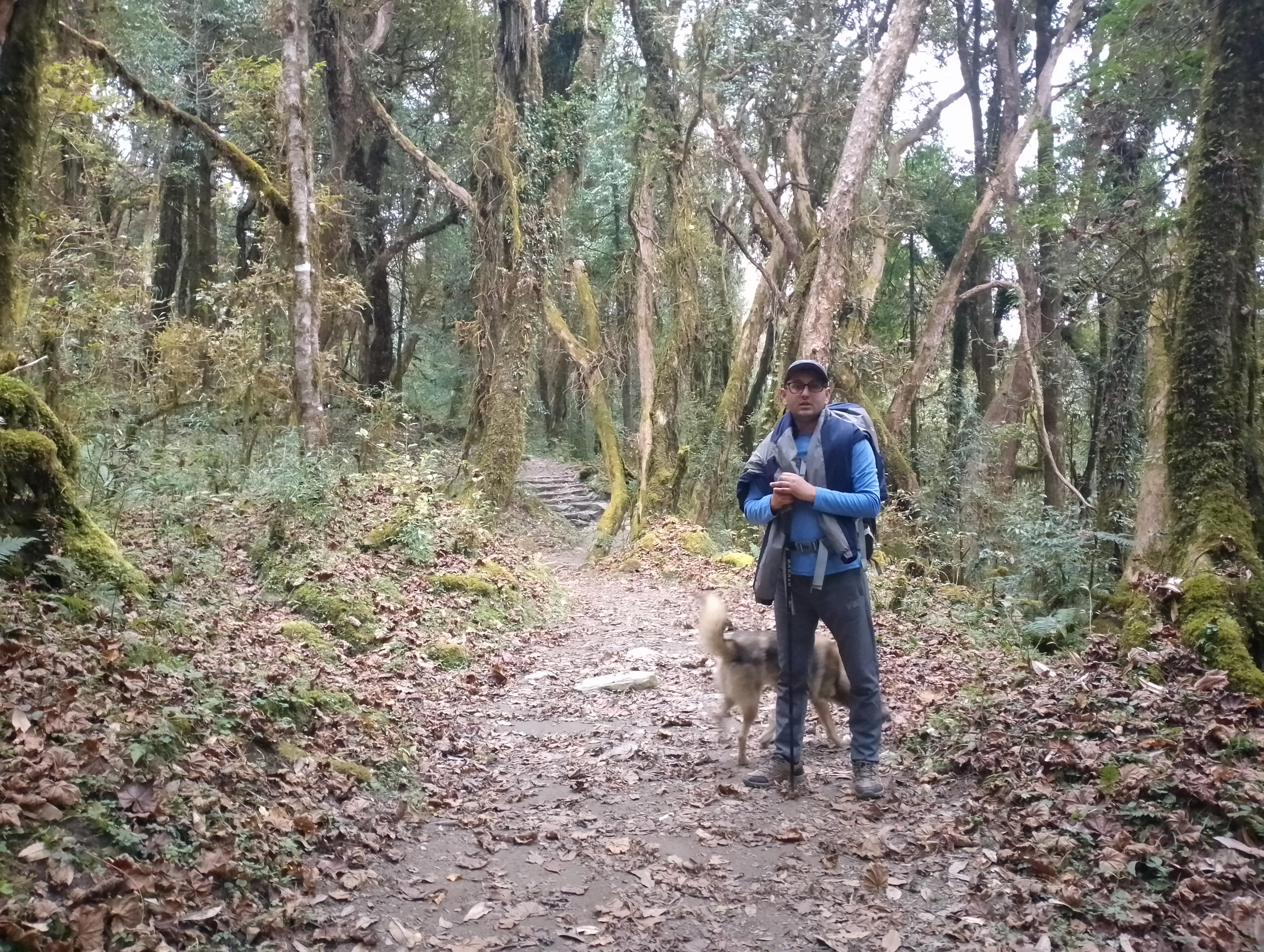 4-Day Mulde ,Poon Hill Trek Itinerary (Children-Friendly) 3
