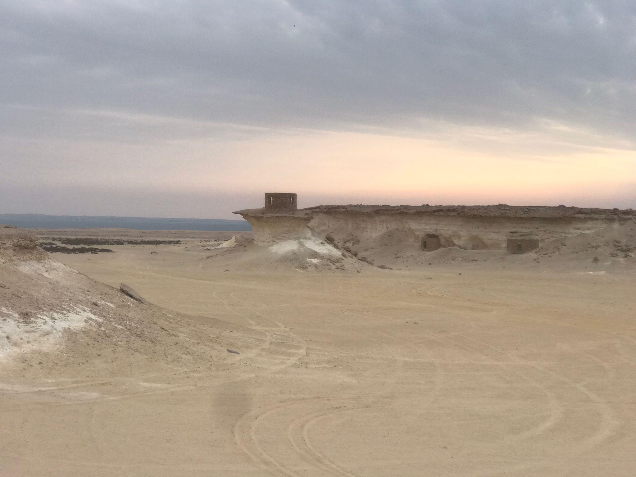 Doha Day Trip: West Qatar Day Trip to Zekreet & Dukhan Beach 3