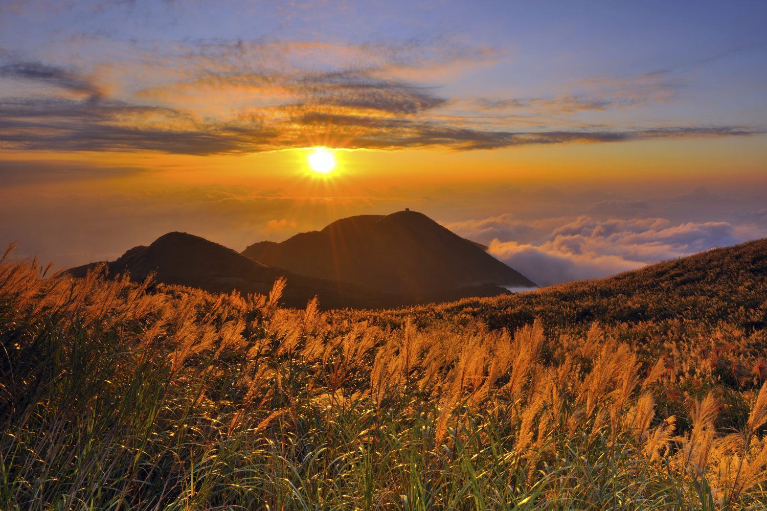Taipei: Private Yangmingshan, Yehliu, Jiufen & Shifen Tour