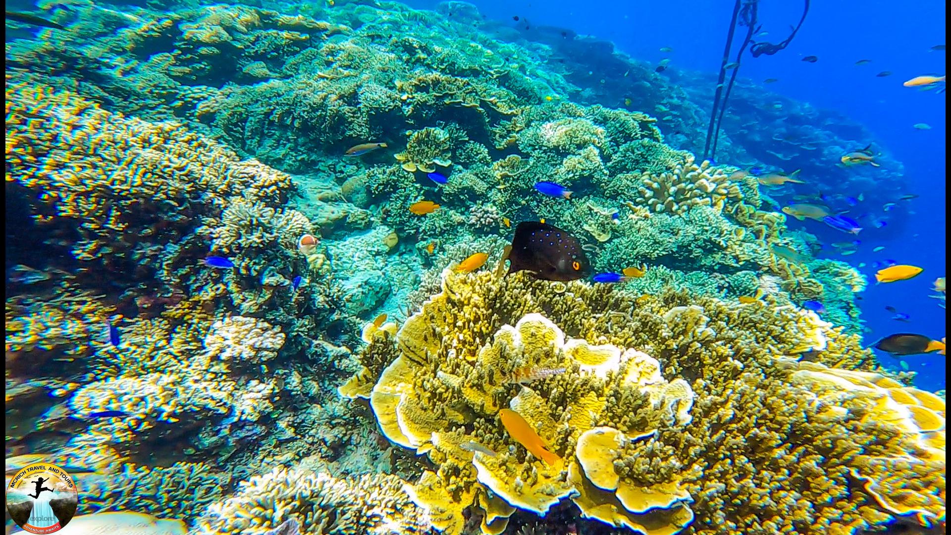 Cebu: Ultimate 3-Day Water Adventure