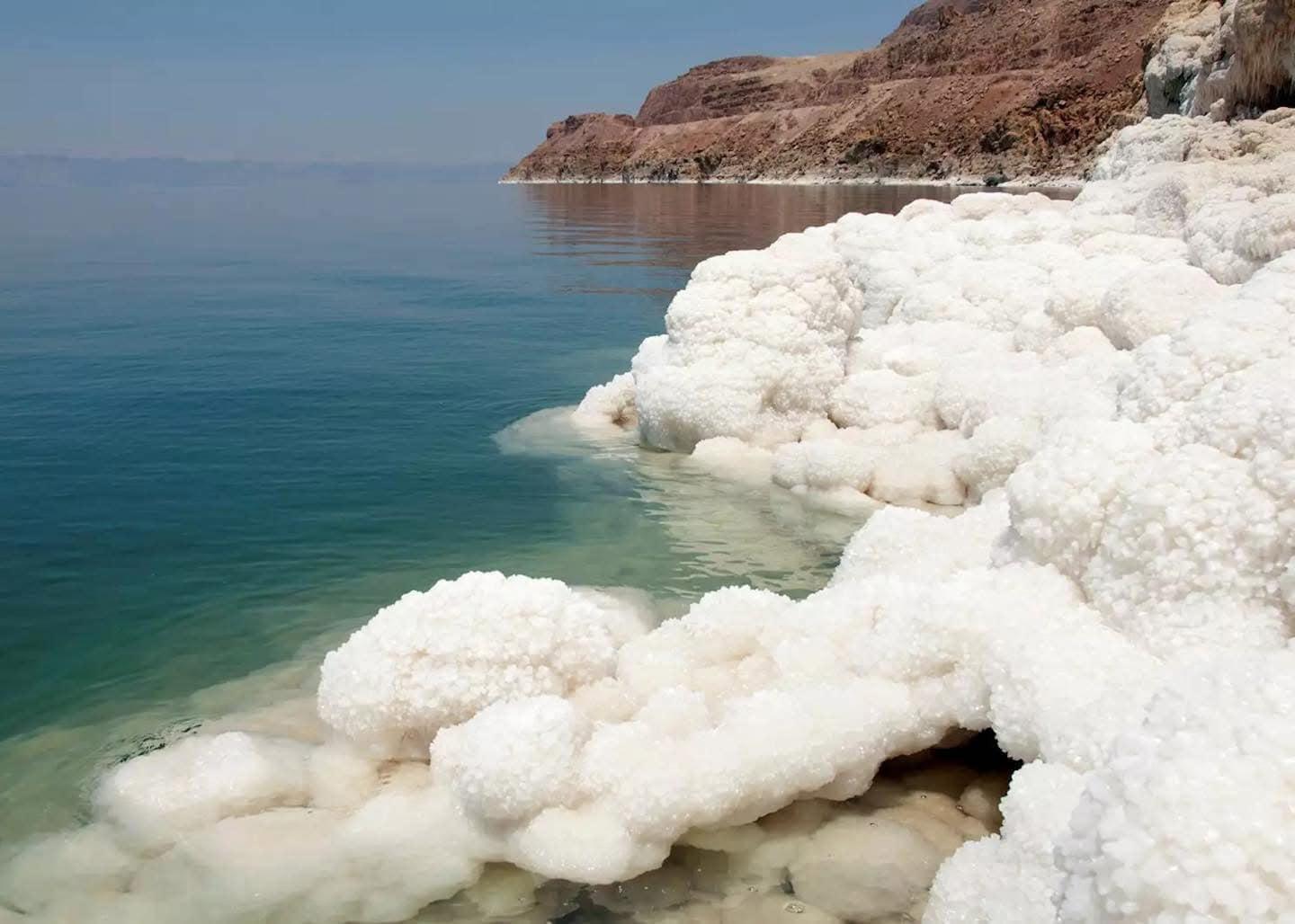 Full Day City Tour of Amman and the Dead Sea 3
