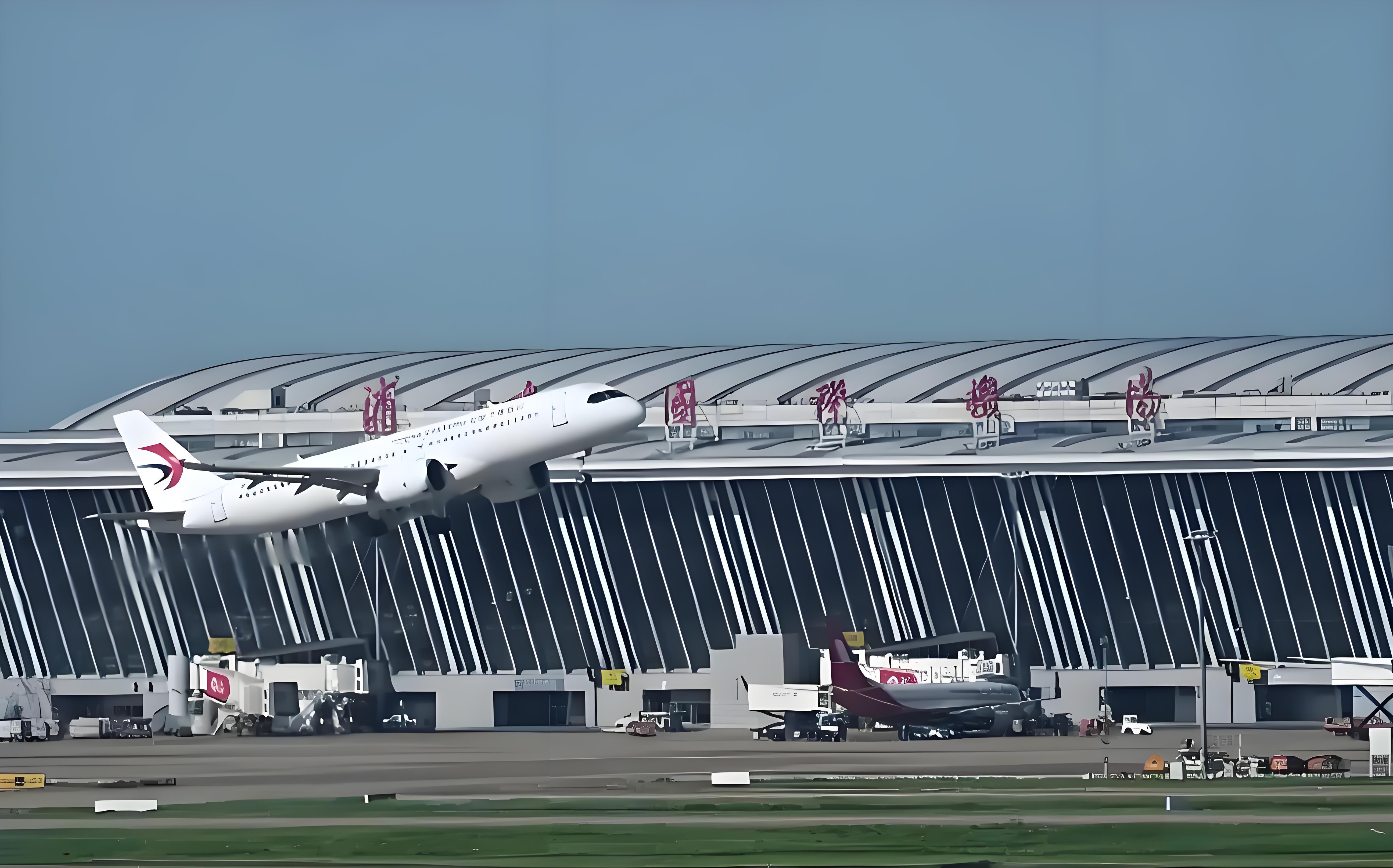 Shanghai: Pudong Airport (PVG) Layover Private Tour
