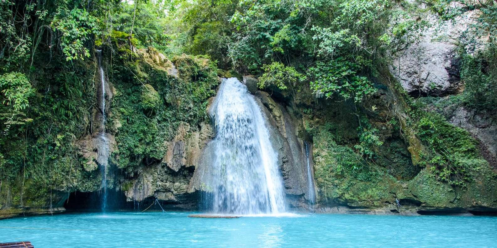 Dumaguete: Whale Shark Snorkeling & Canyoneering Tour 2
