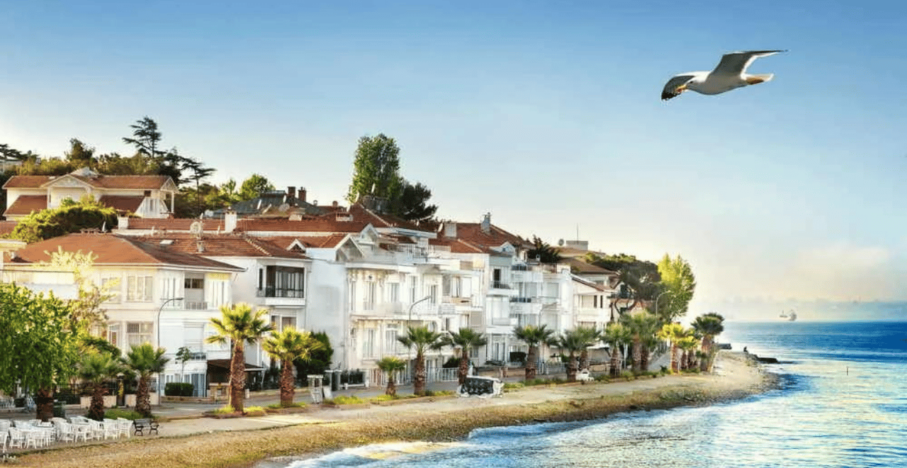 Istanbul: Princes Islands Tour with Hotel Transfer & Lunch 2