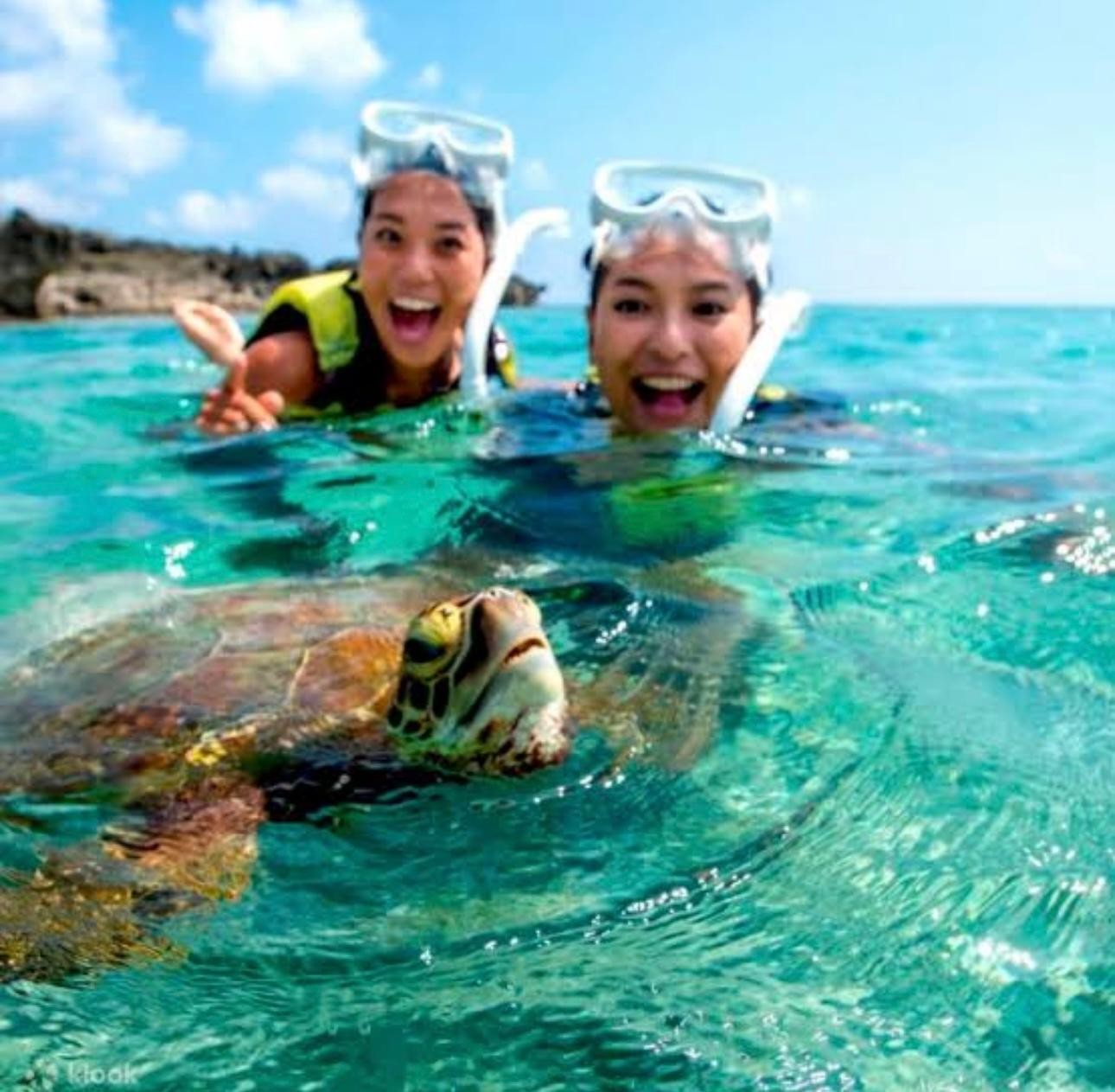 Bohol Dolphin Watching & Sea Turtle Swim Island Hopping Tour 2